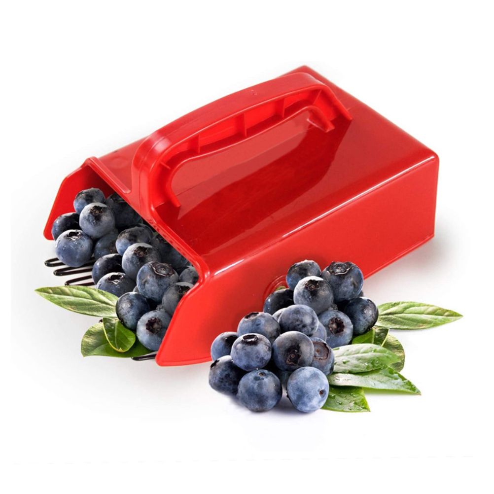 Berry Picker with Metallic Comb and Handle for Easier Berry Bilberries