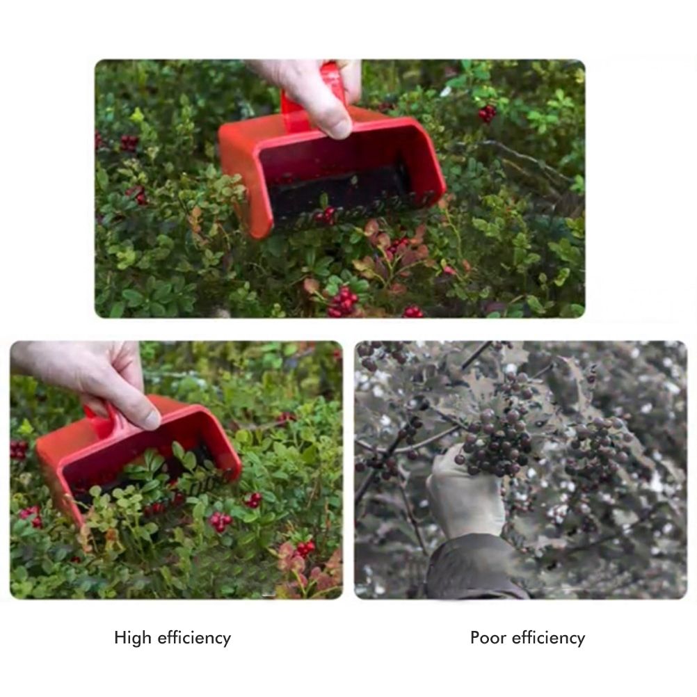 Berry Picker with Metallic Comb and Handle for Easier Berry Bilberries view 7