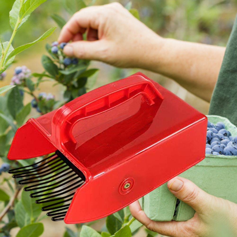 Berry Picker with Metallic Comb and Handle for Easier Berry Bilberries view 9