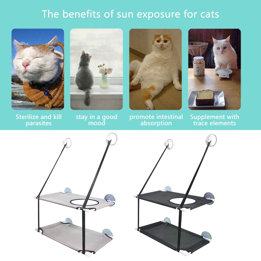 Double Layer Cat Window Hammock Cat Window Perch Strong Suction Cups Cat view 12