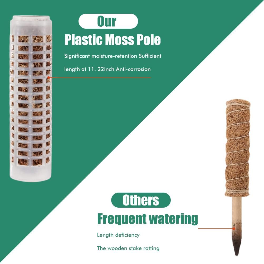 Moss Pole 25cm Plastics Coir Moss Totem Pole Stick for Plant Stakes and view 3