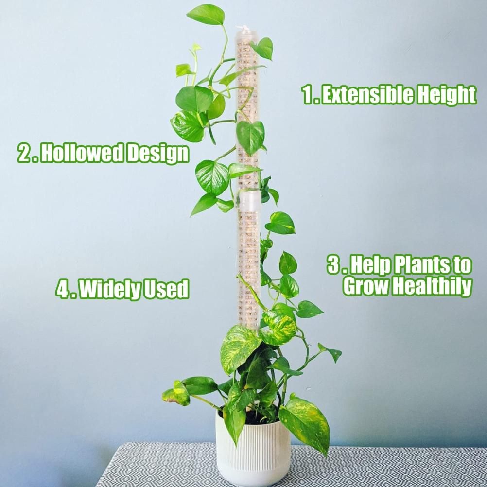 Moss Pole 25cm Plastics Coir Moss Totem Pole Stick for Plant Stakes and view 4