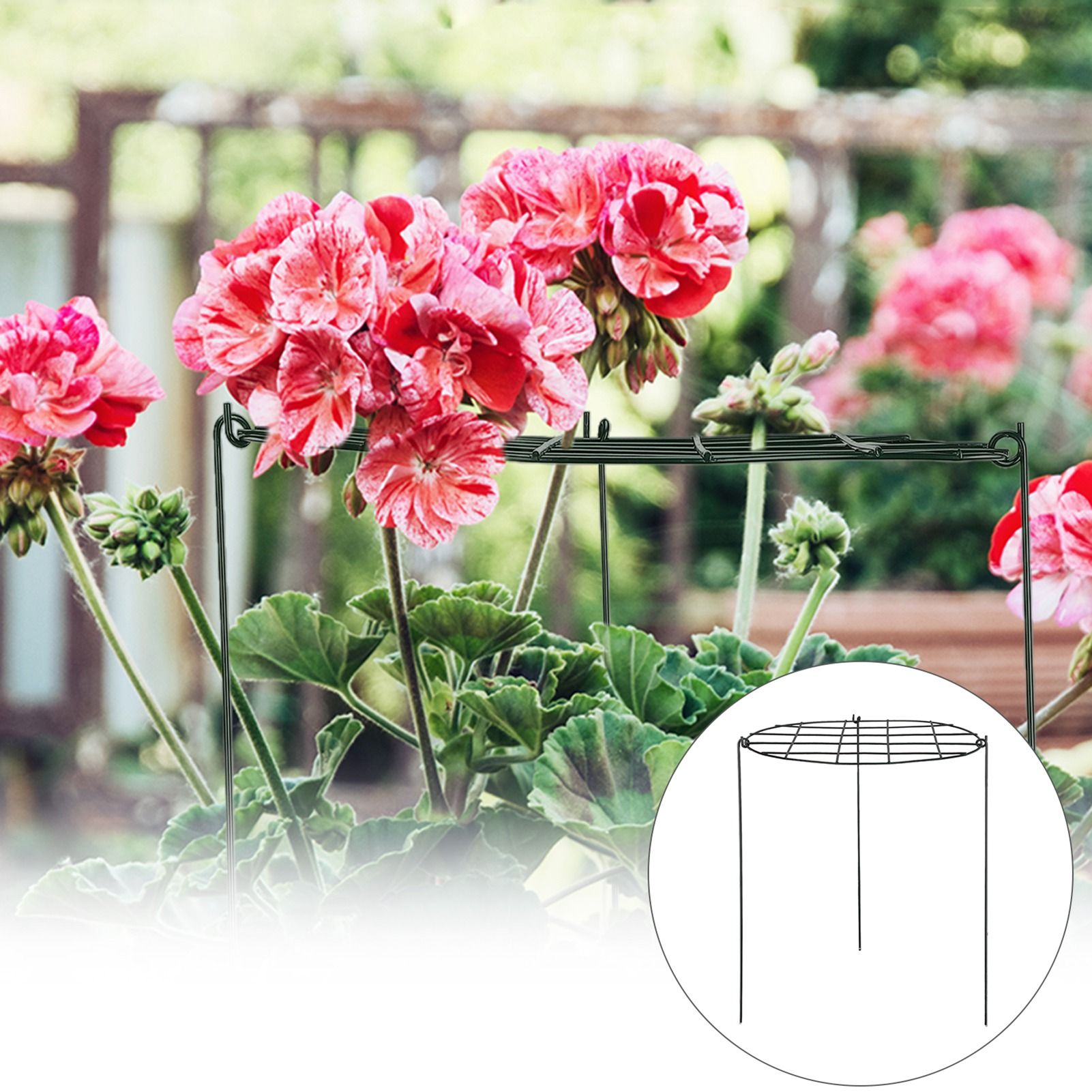 Garden Grid Shaped Iron Metal Plant Stand Strawberry Stand Plant Support Stake view 12