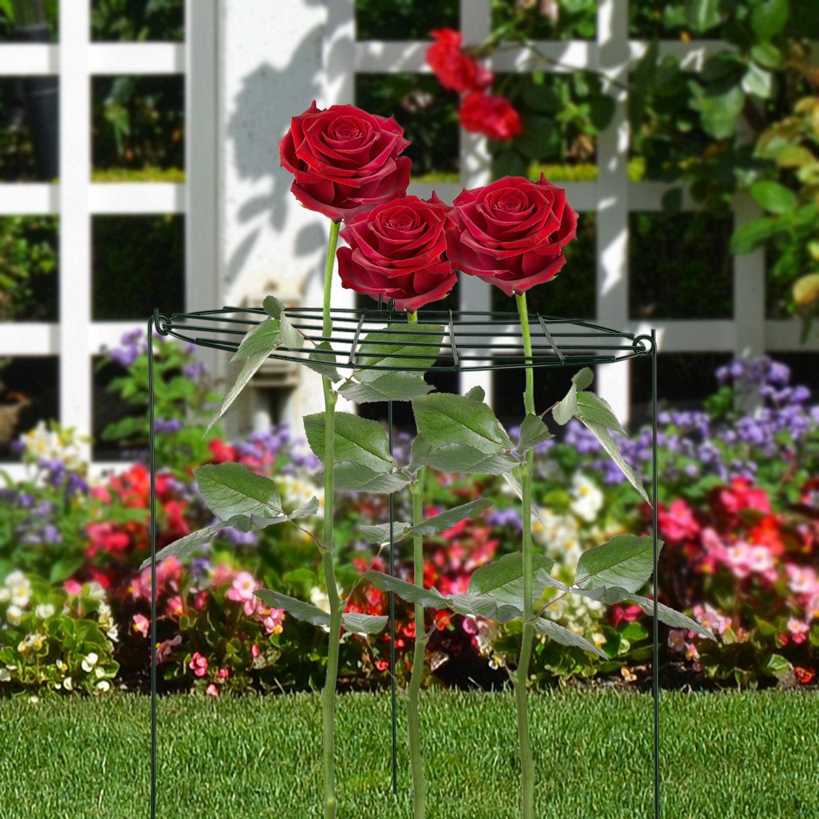 Garden Grid Shaped Iron Metal Plant Stand Strawberry Stand Plant Support Stake view 13