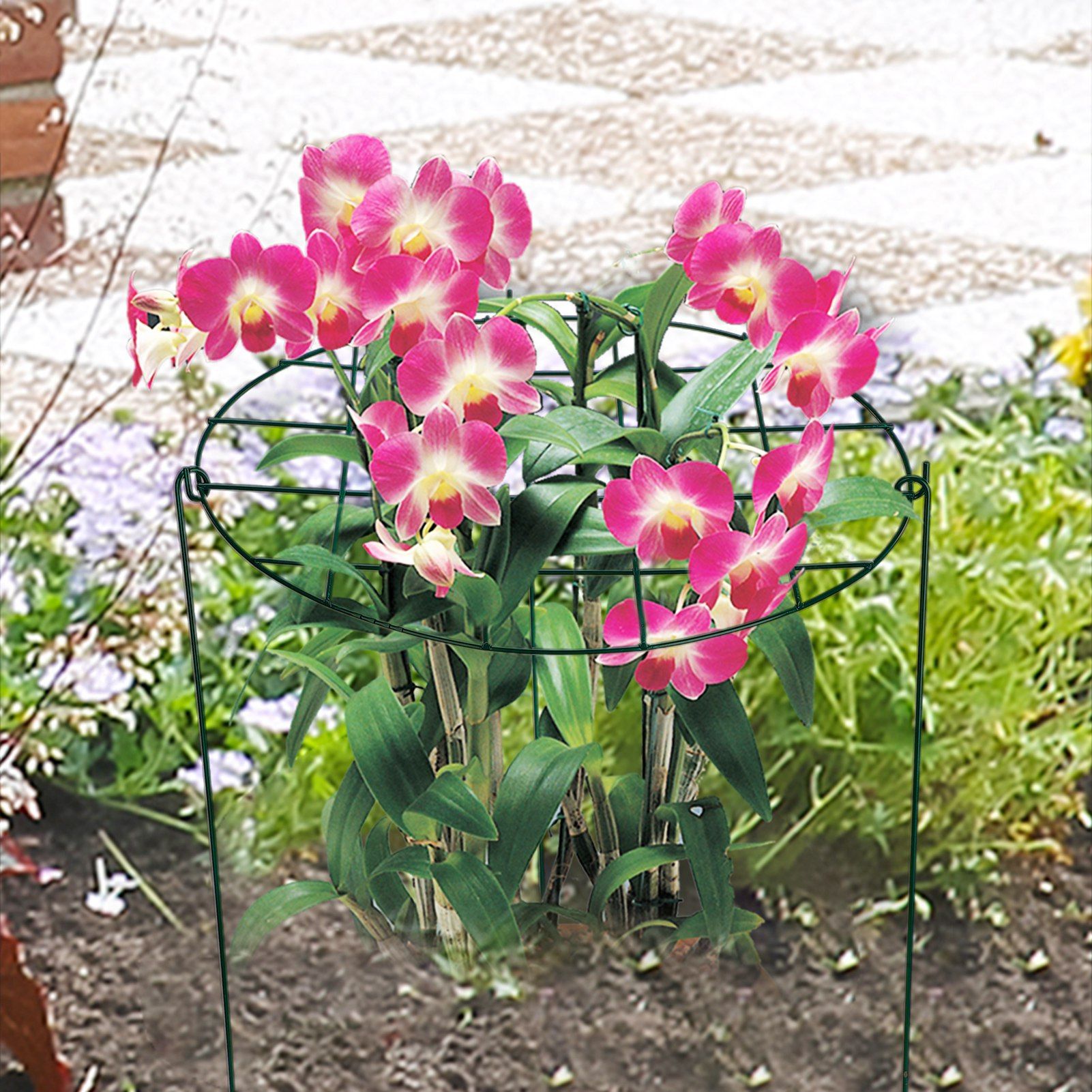 Garden Grid Shaped Iron Metal Plant Stand Strawberry Stand Plant Support Stake view 14