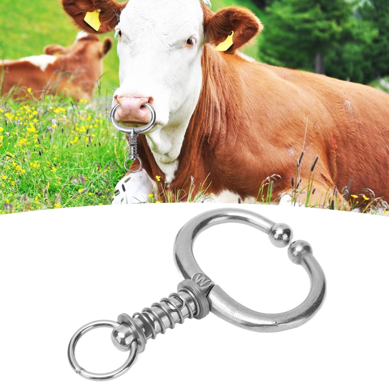 Cattle Nose Ring Stainless Steel Cattle Nose Clamp Bull Cow W Spring Nose Ring view 12