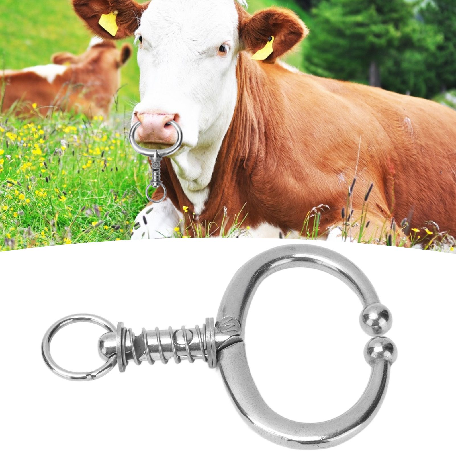 Cattle Nose Ring Stainless Steel Cattle Nose Clamp Bull Cow W Spring Nose Ring view 11
