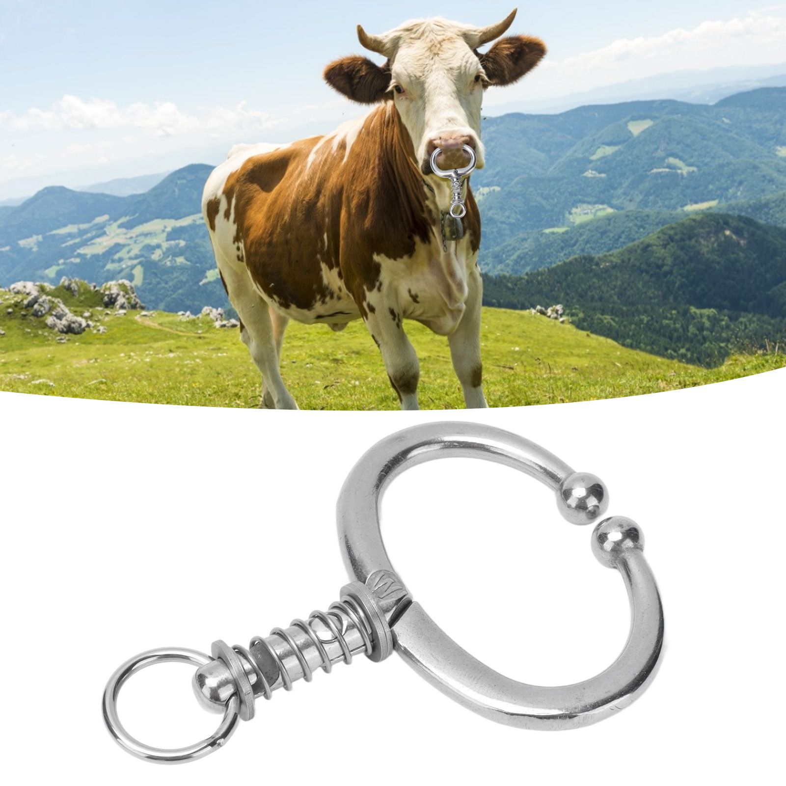 Cattle Nose Ring Stainless Steel Cattle Nose Clamp Bull Cow W Spring Nose Ring view 12