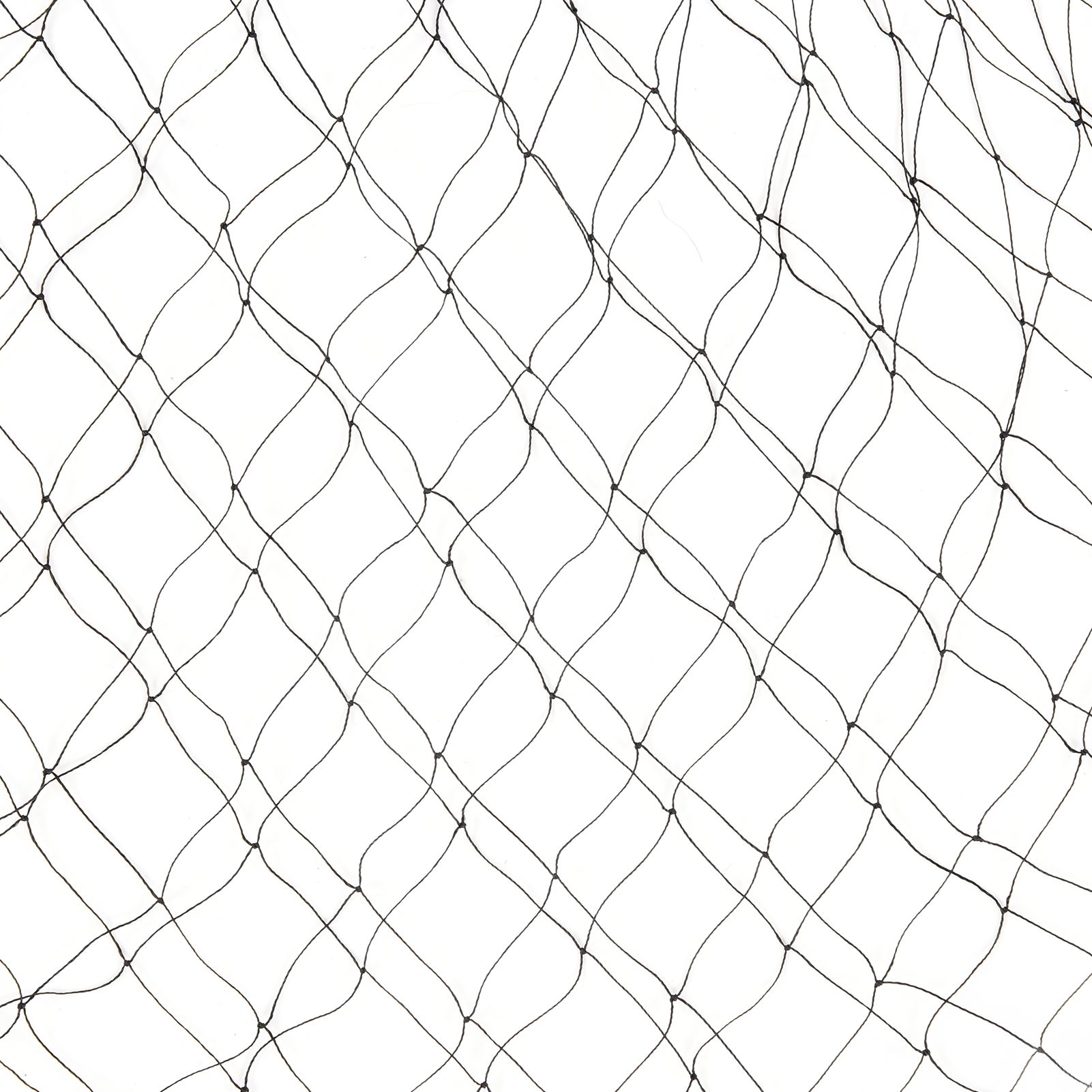 Black Anti Bird Netting Plant Tree Vegetables Protective Nylon Netting for view 15