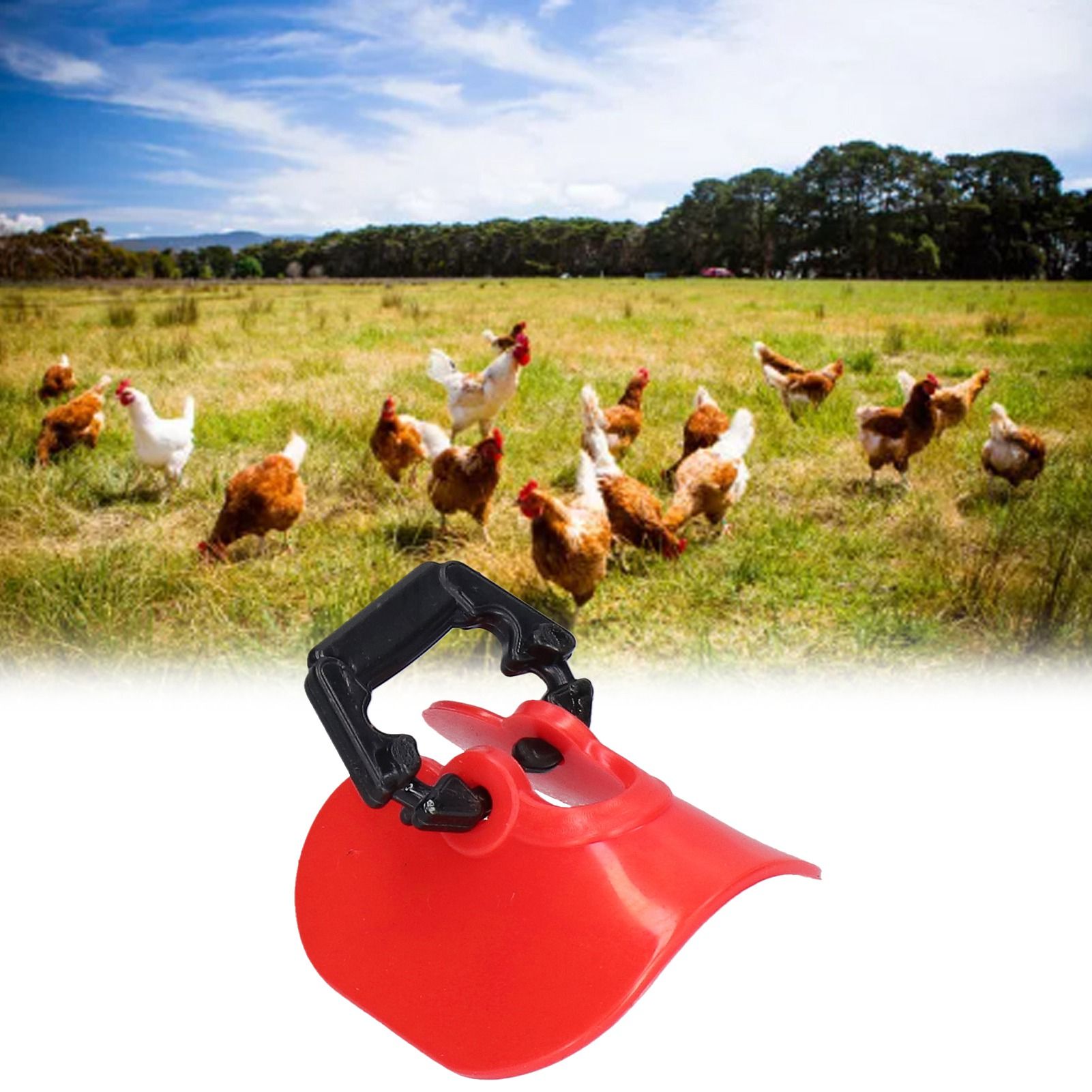 100Set Chicken Eye Glasses with Plugs Anti Pecking Chicken Peeper Blinders view 11