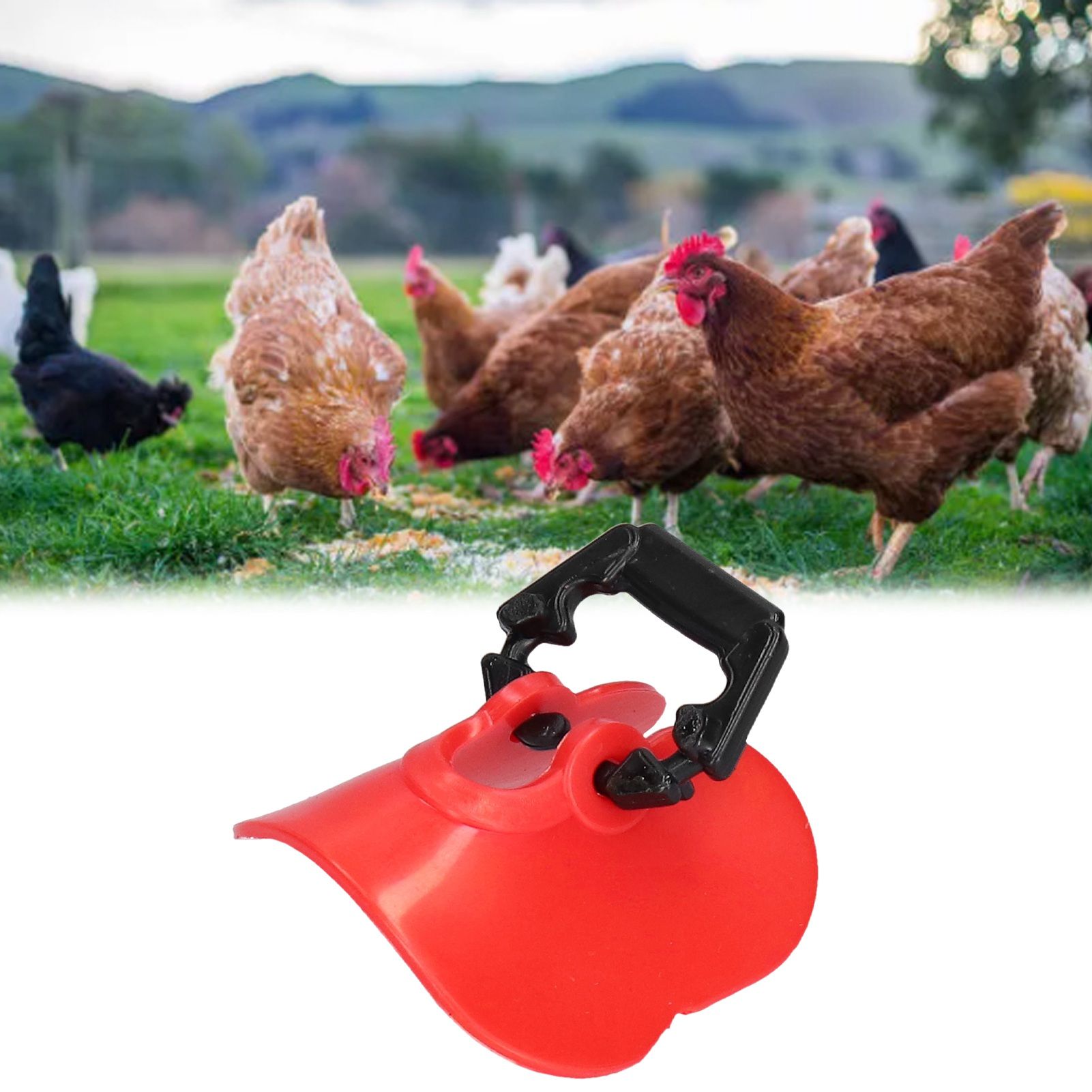 100Set Chicken Eye Glasses with Plugs Anti Pecking Chicken Peeper Blinders view 12