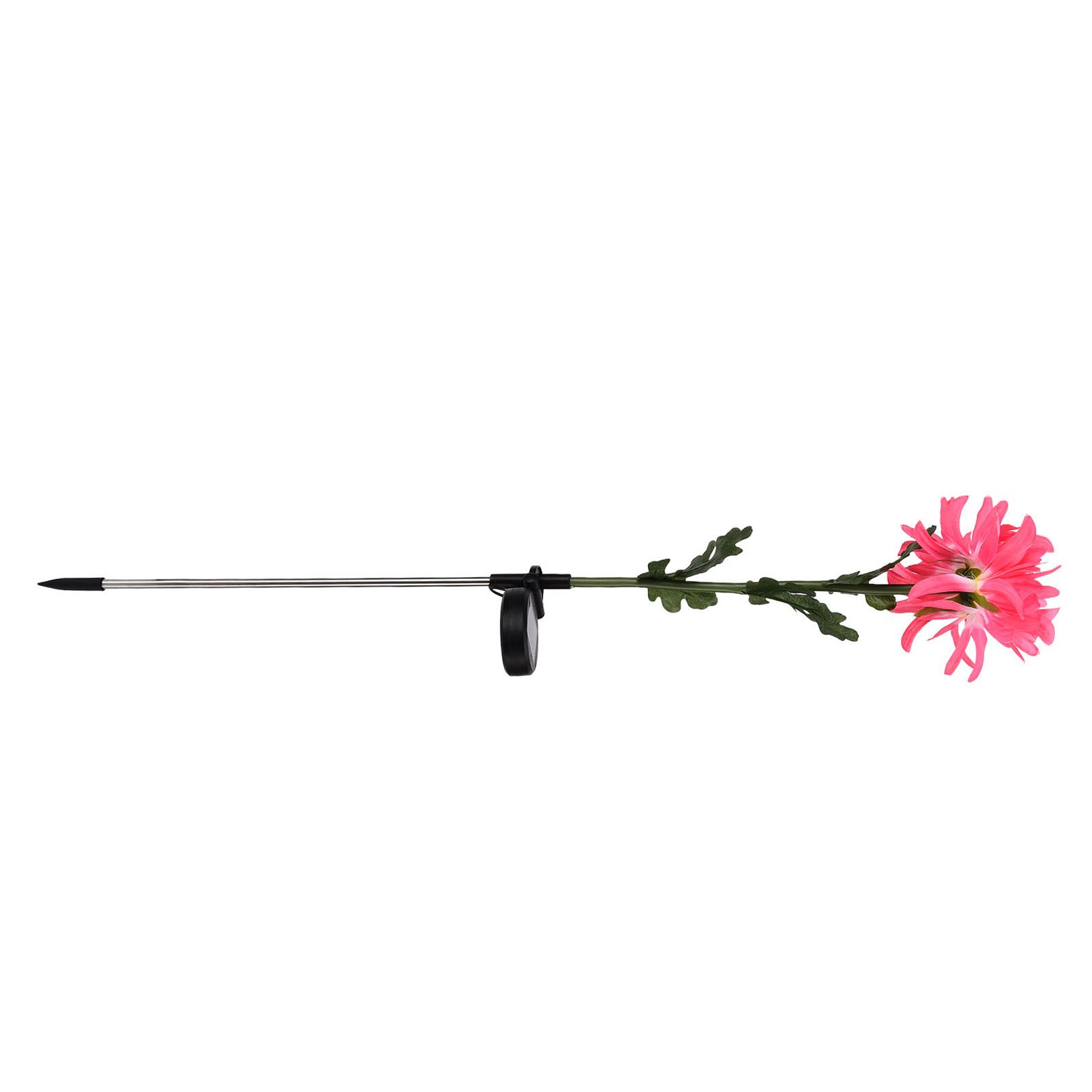 Solar Garden Decorations Automatic Charging Waterproof Durable LED Solar view 6