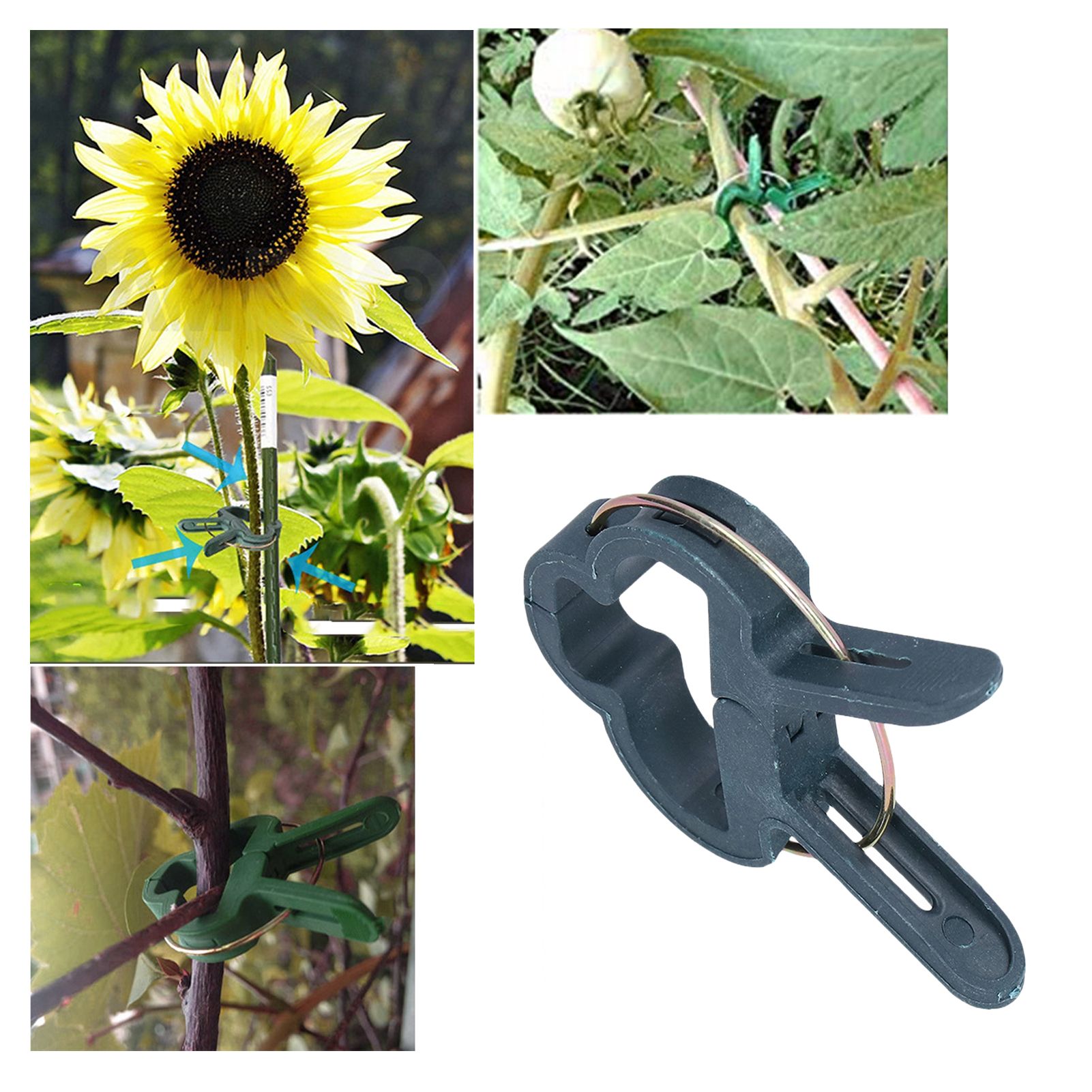 100PCS Plant Support Clip Plant Clamp Garden Binding Clip Grafting Tools for view 11