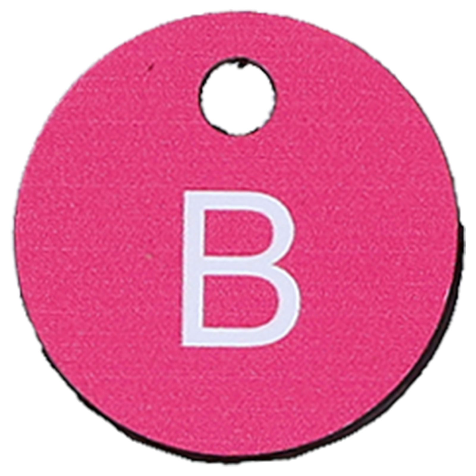 26PCS Beehive Numbered Tag Marker with Hole Round Beehive Label Beekeeping view 14