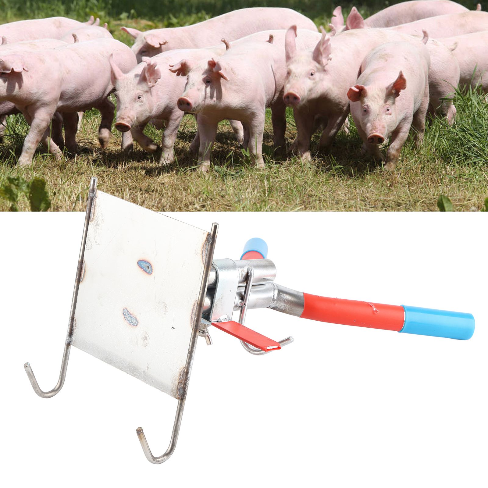 Pig Castration Rack Tools Double Hook Suspension Stainless Steel Simple view 12