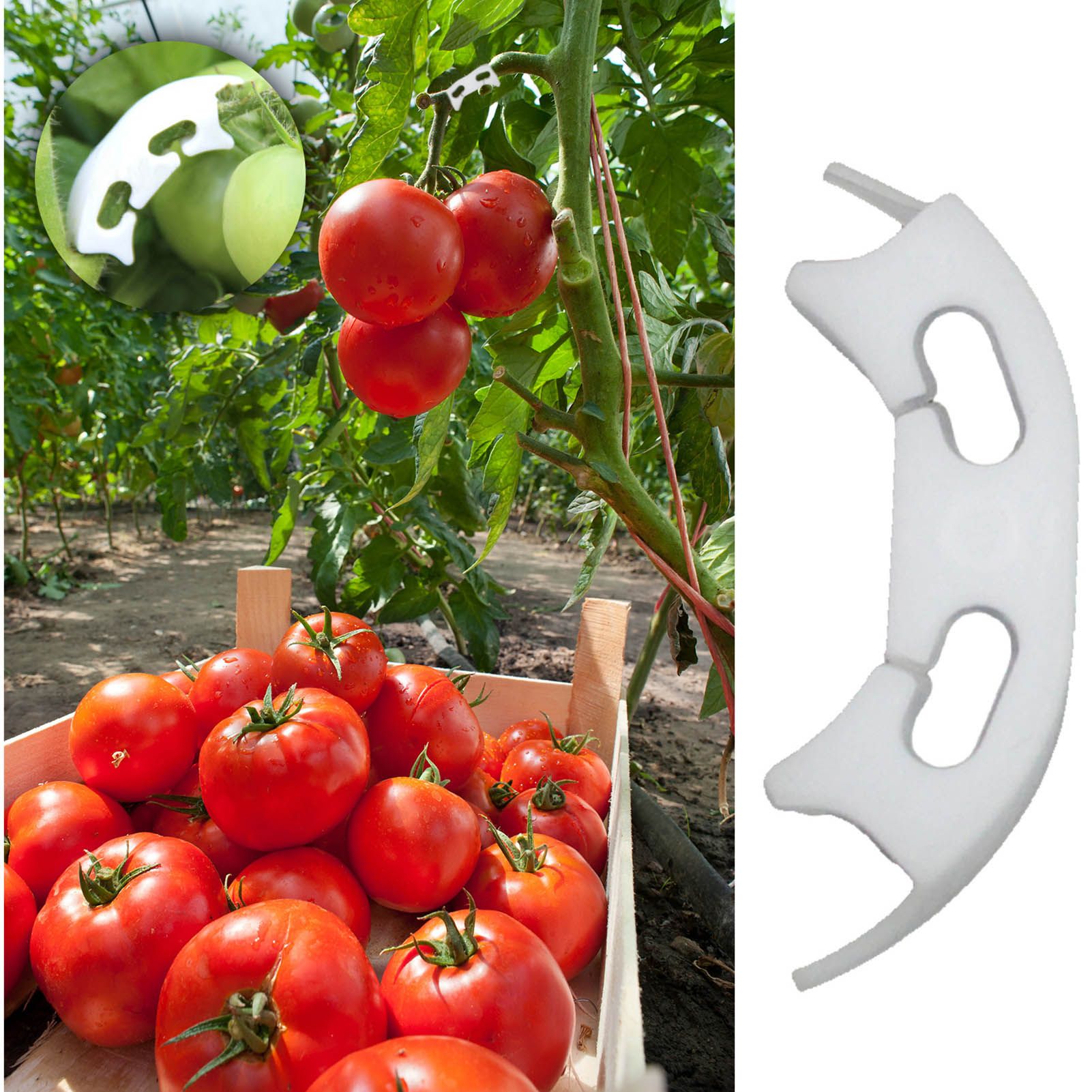 100Pcs Plant Support Clips Durable Plastic Grow Upright Vine Fixation Wide view 11