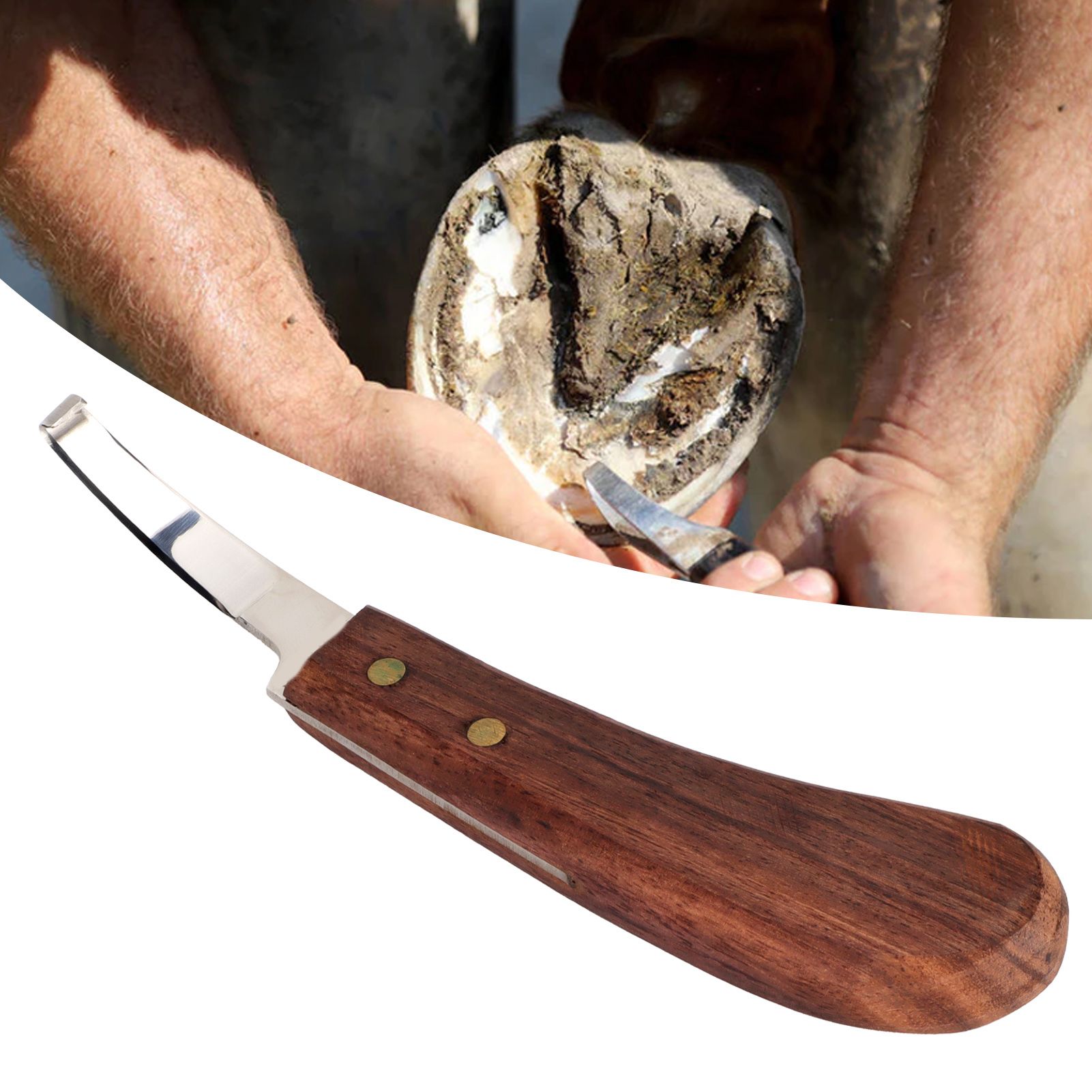 Steel Hoof Knife with Wooden Handle Pointed Cattle Livestock Hand Hoof view 11