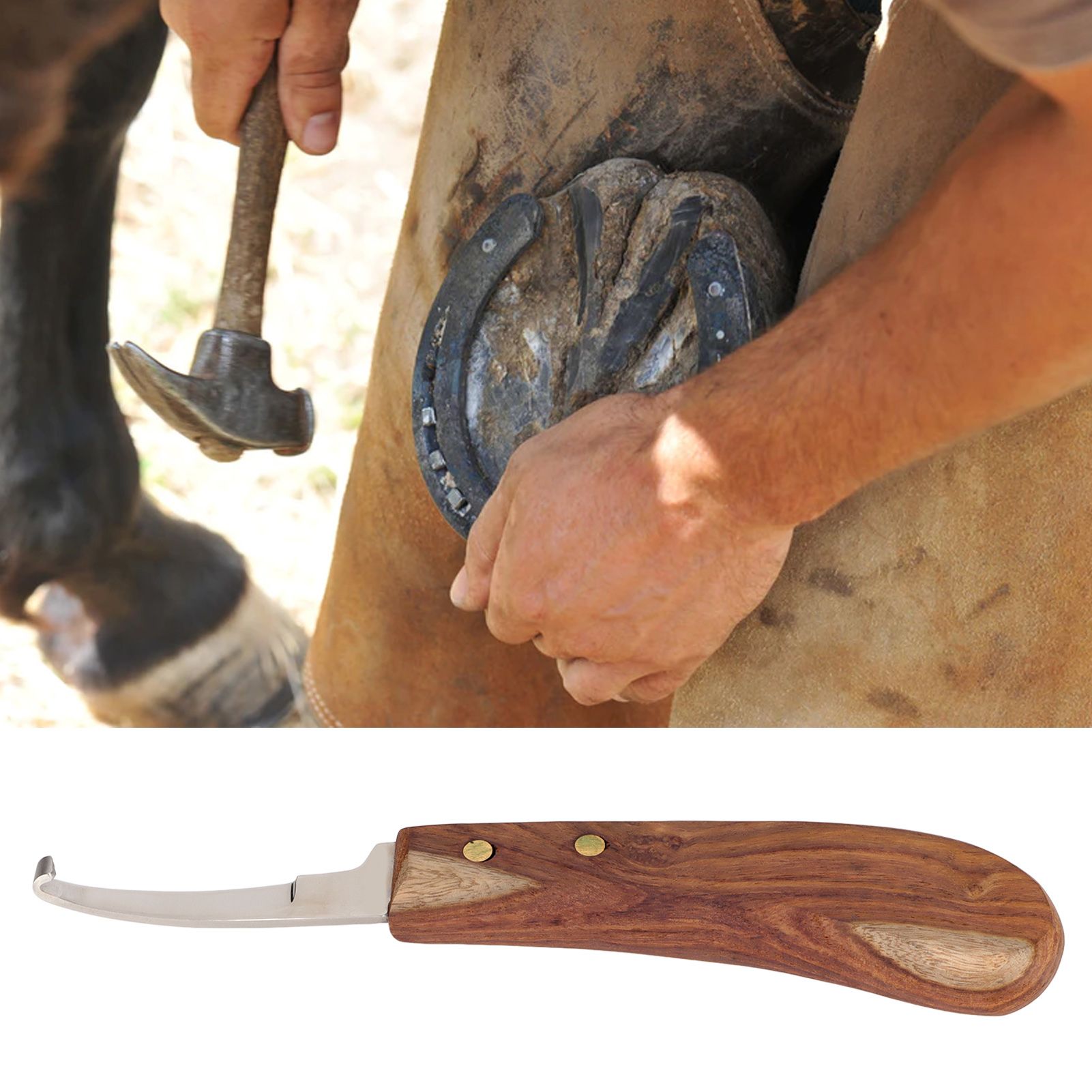 Steel Hoof Knife with Wooden Handle Pointed Cattle Livestock Hand Hoof view 12