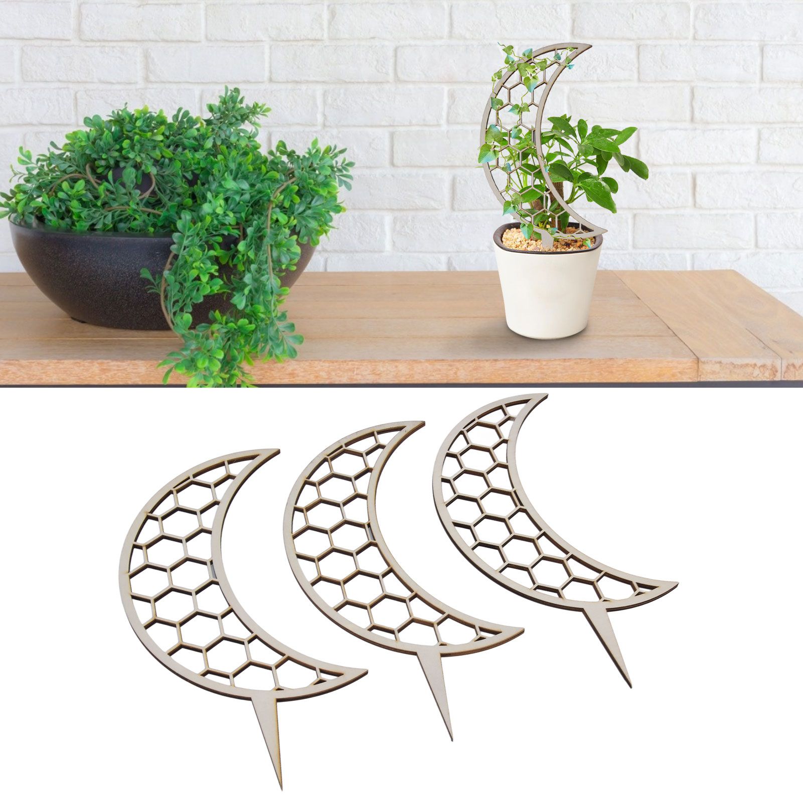 3 Pcs Vines Climbing Support Unique Design Composite Wood 30cm Flower Climbing view 11
