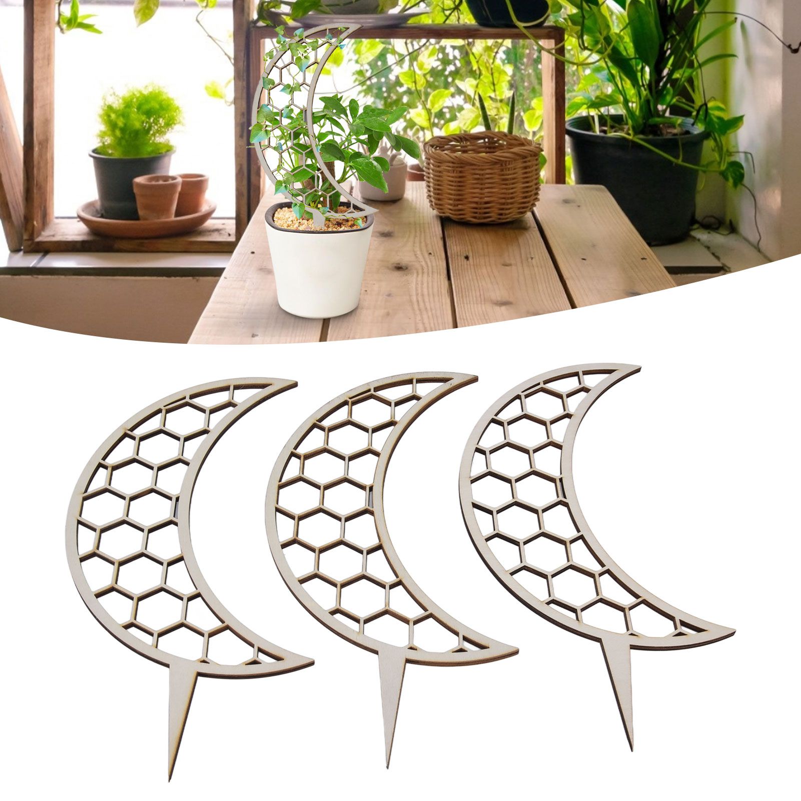 3 Pcs Vines Climbing Support Unique Design Composite Wood 30cm Flower Climbing view 12