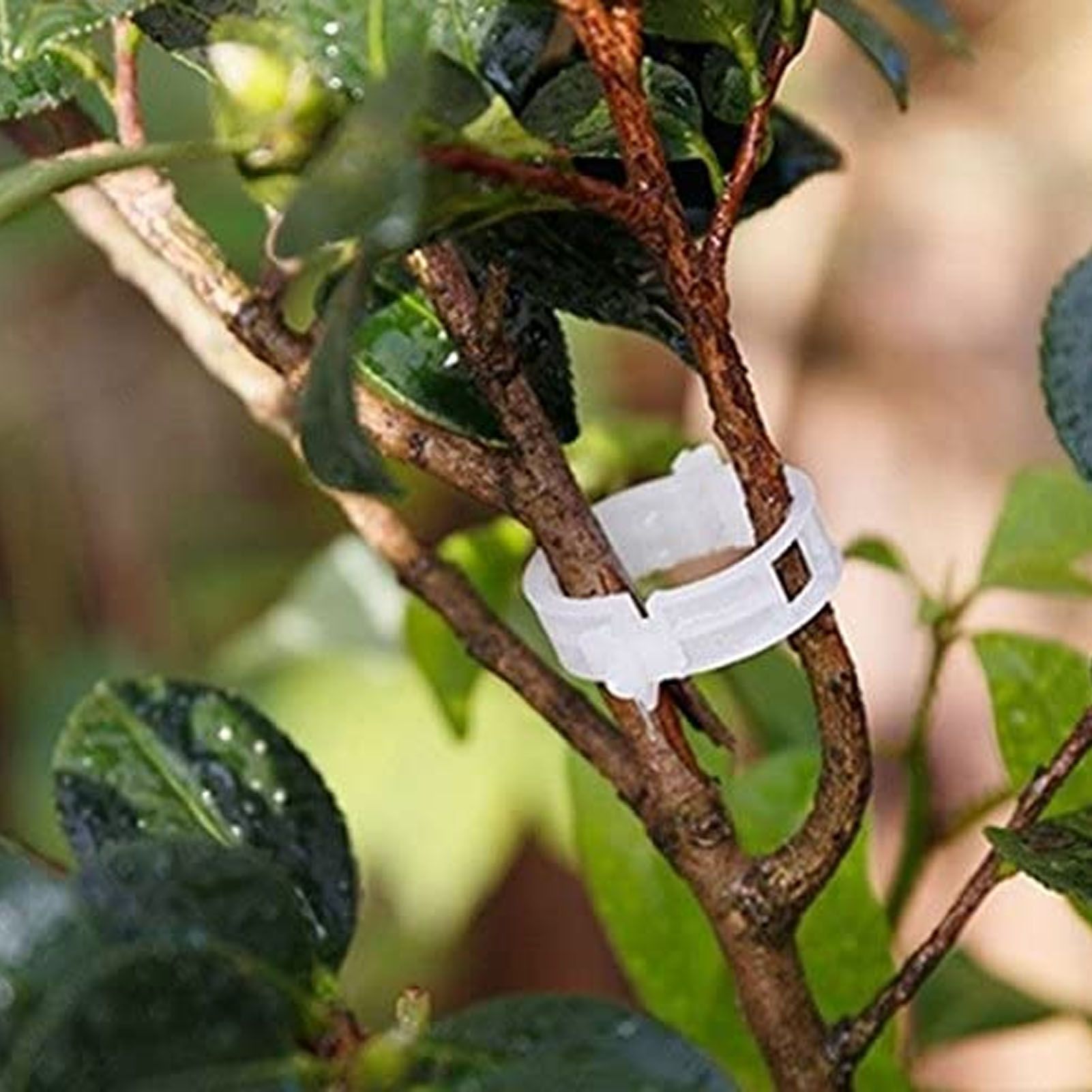 300Pcs Plastic Tomato Clips Good Fixation Support Reusable Plant Support Clips view 15
