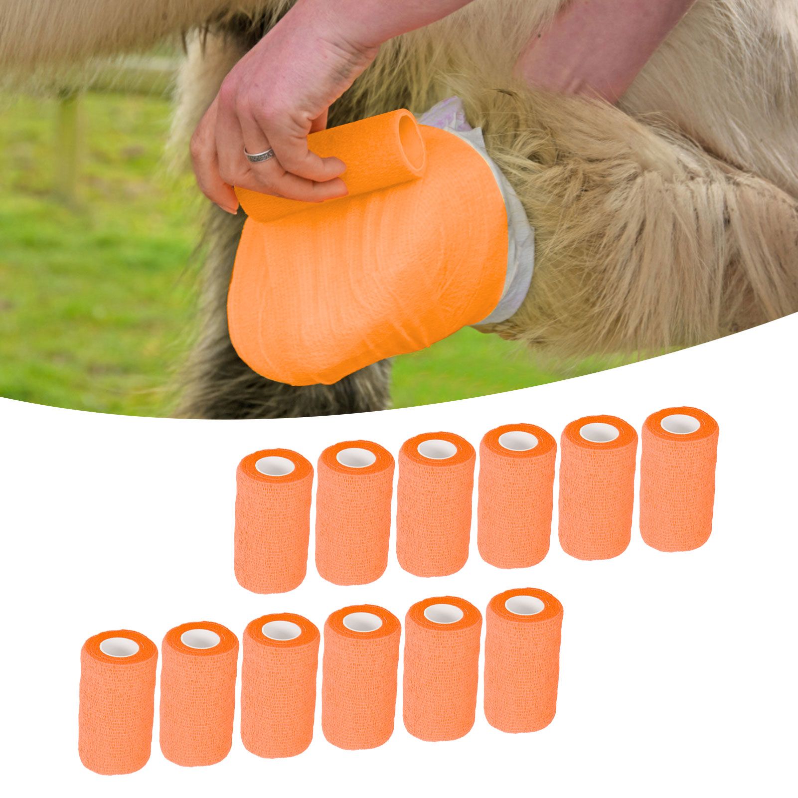 12Pcs Bandage Wrap Natural Latex Elastic Self Adhesive Wrap for Cows Dogs view 11