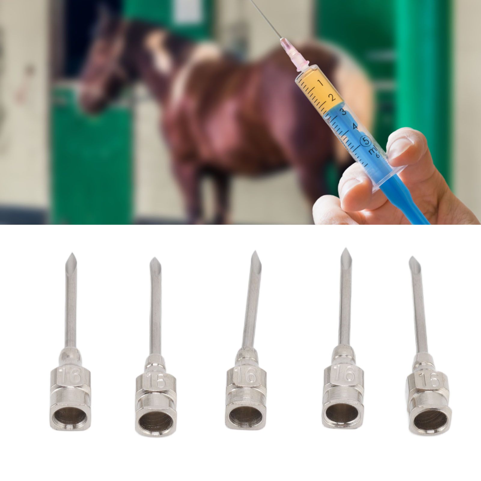 Poultry Injection Needles Stainless Steel Bovine Pig Injection Needle Cow Pig view 11