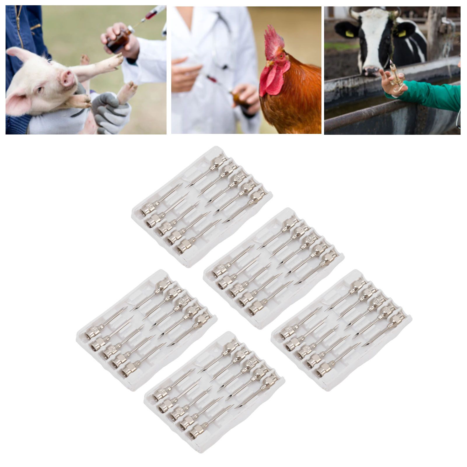 Poultry Injection Needles Stainless Steel Bovine Pig Injection Needle Cow Pig view 12