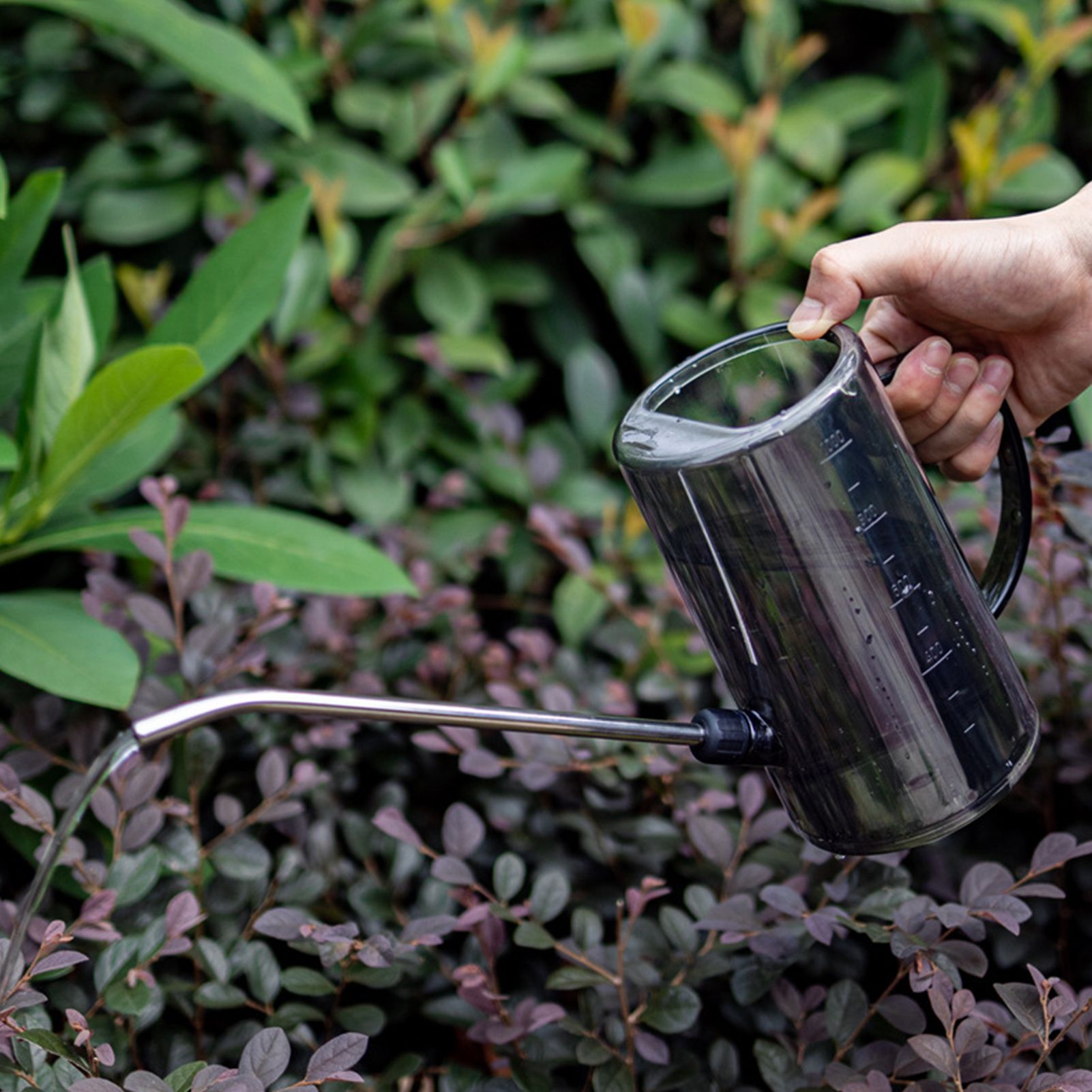 1L Watering Can PP Fully Transparent Indoor Plants Watering Can with Long view 2