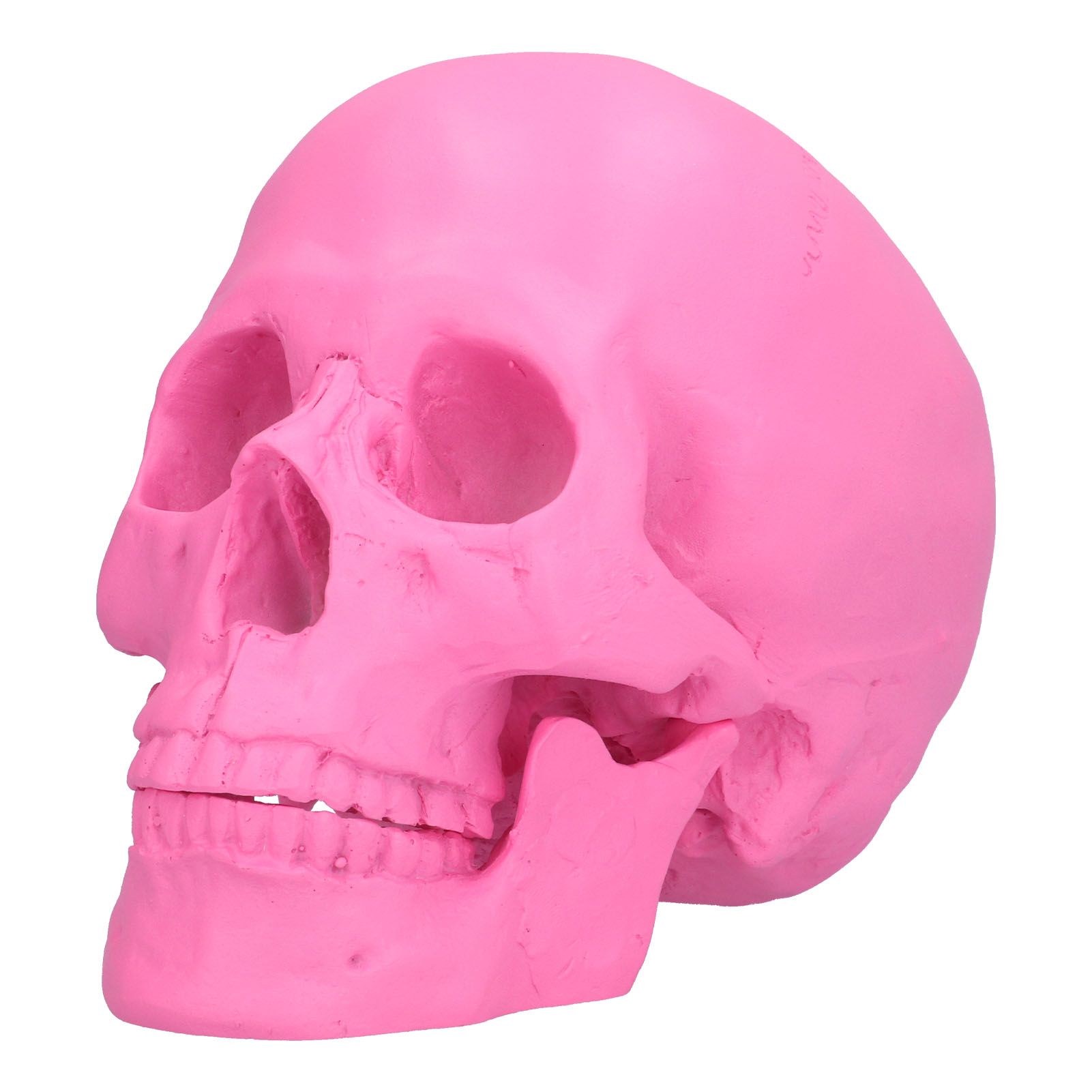 Resin Halloween Skull Decor Festival Home Props Fake Whole Person Skull view 2