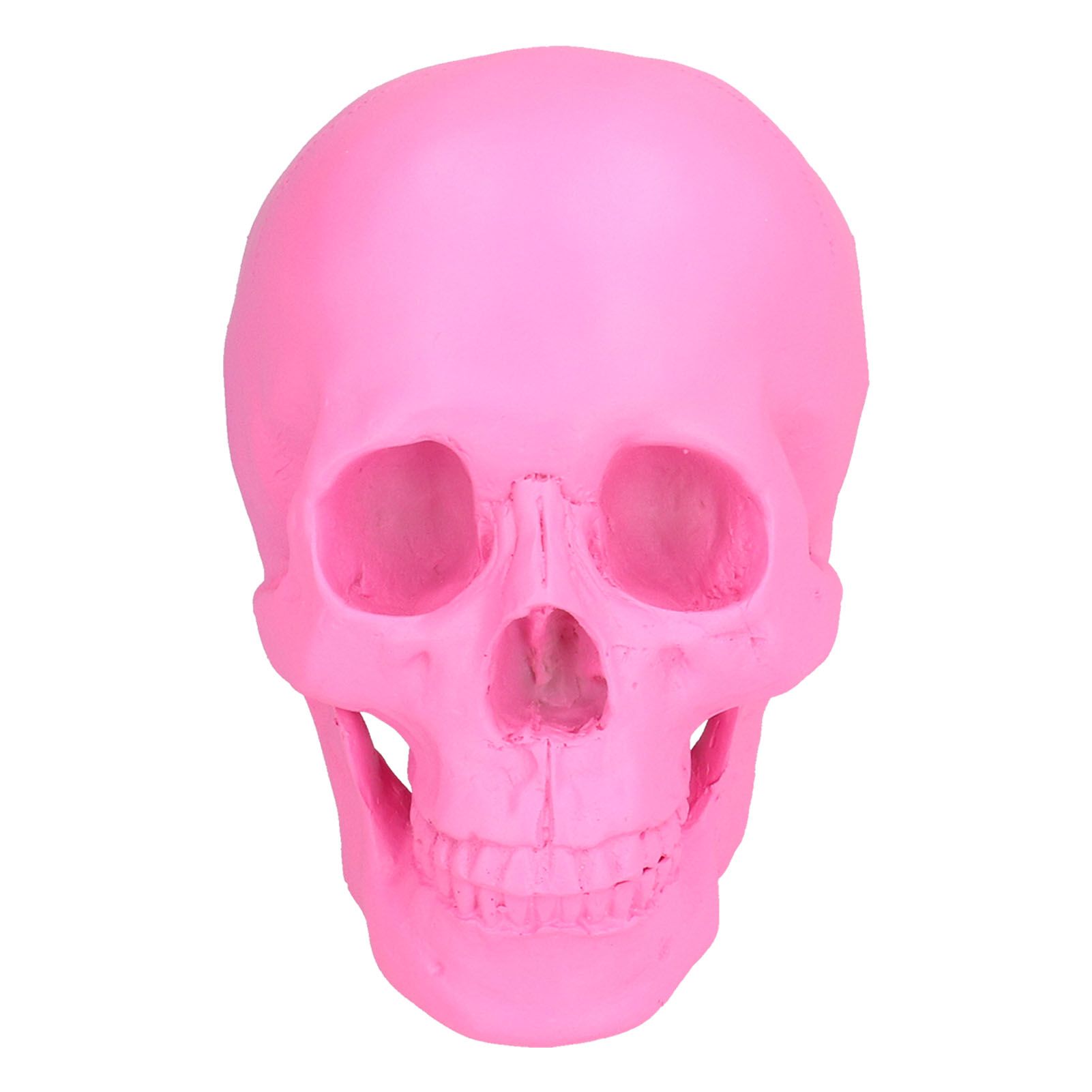 Resin Halloween Skull Decor Festival Home Props Fake Whole Person Skull view 3