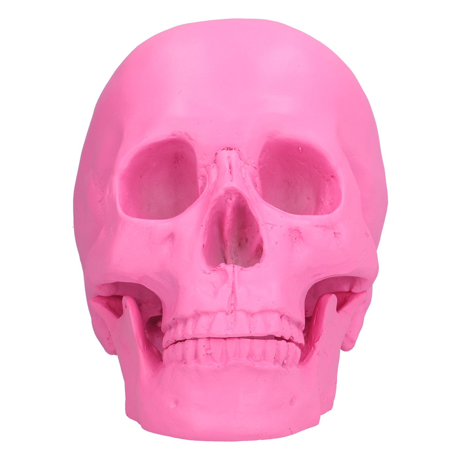Resin Halloween Skull Decor Festival Home Props Fake Whole Person Skull view 4