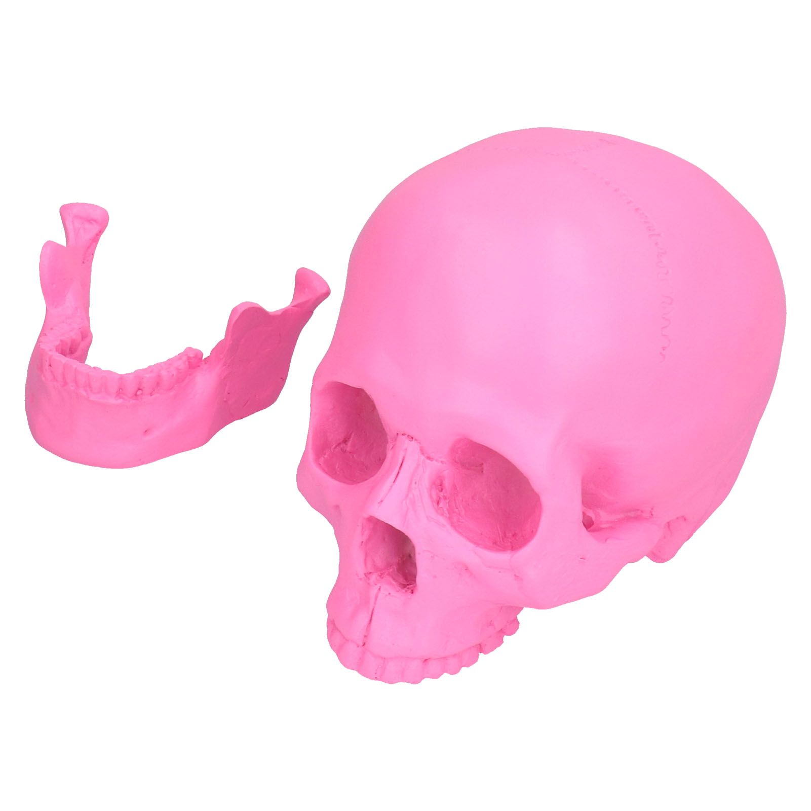 Resin Halloween Skull Decor Festival Home Props Fake Whole Person Skull view 5