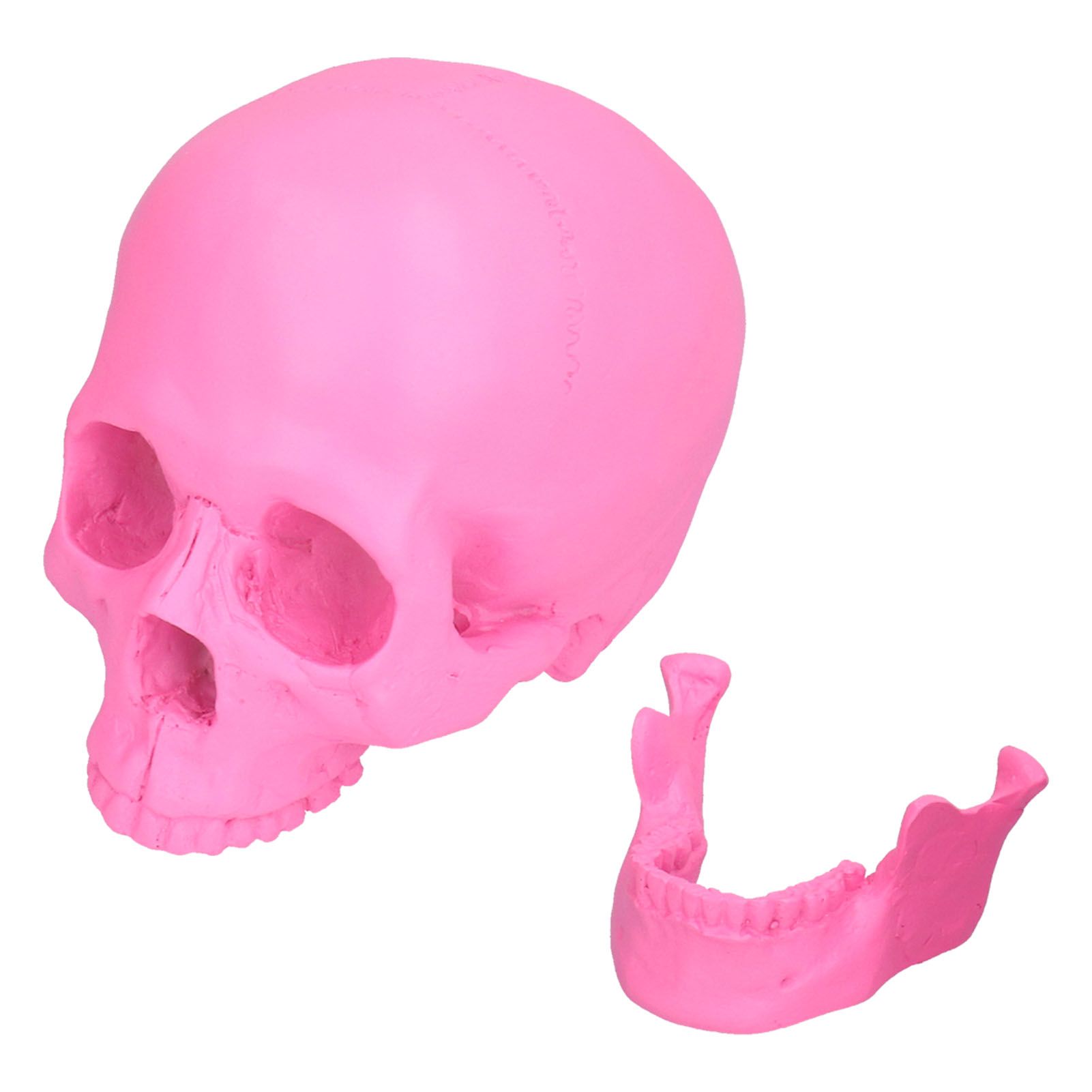 Resin Halloween Skull Decor Festival Home Props Fake Whole Person Skull view 6