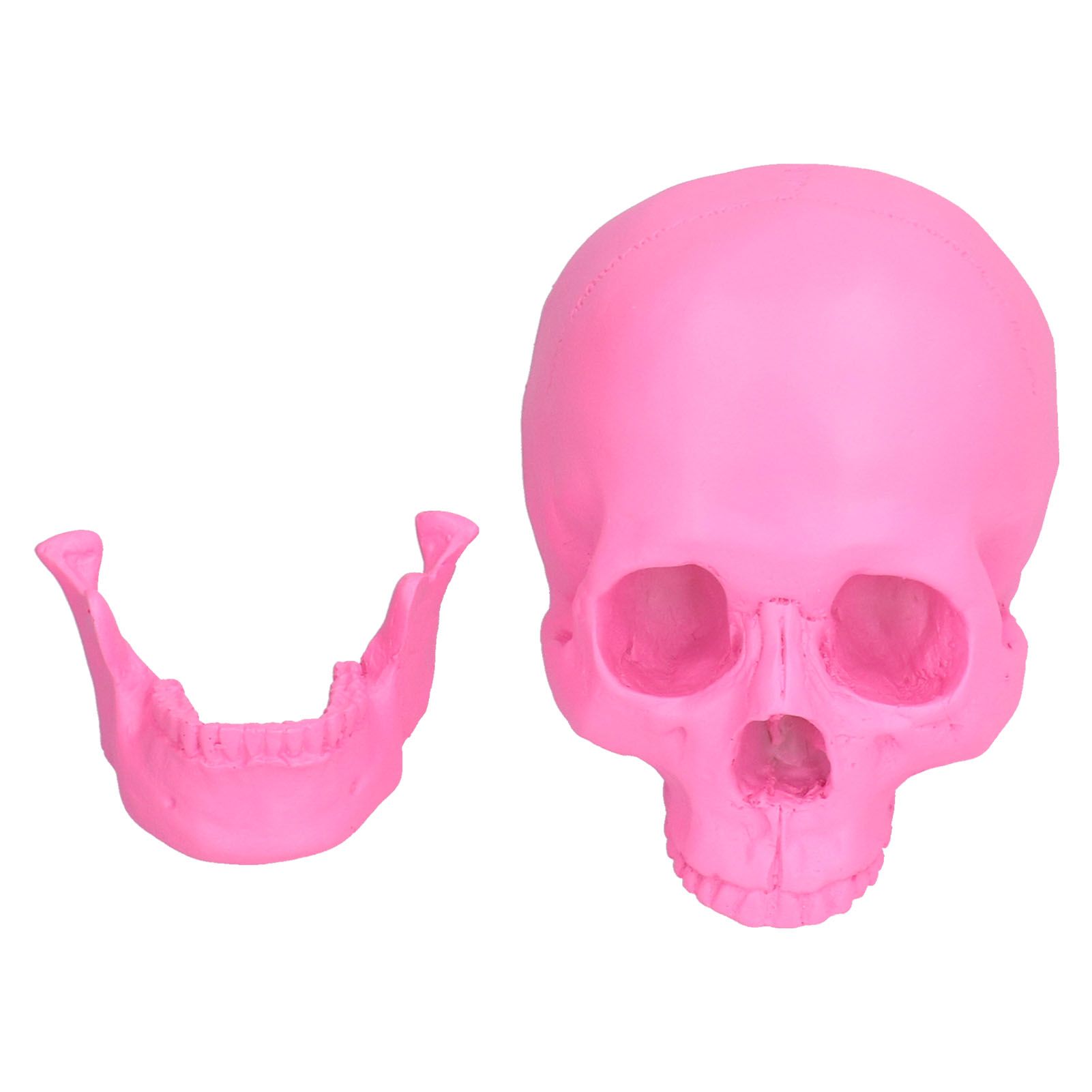 Resin Halloween Skull Decor Festival Home Props Fake Whole Person Skull view 7