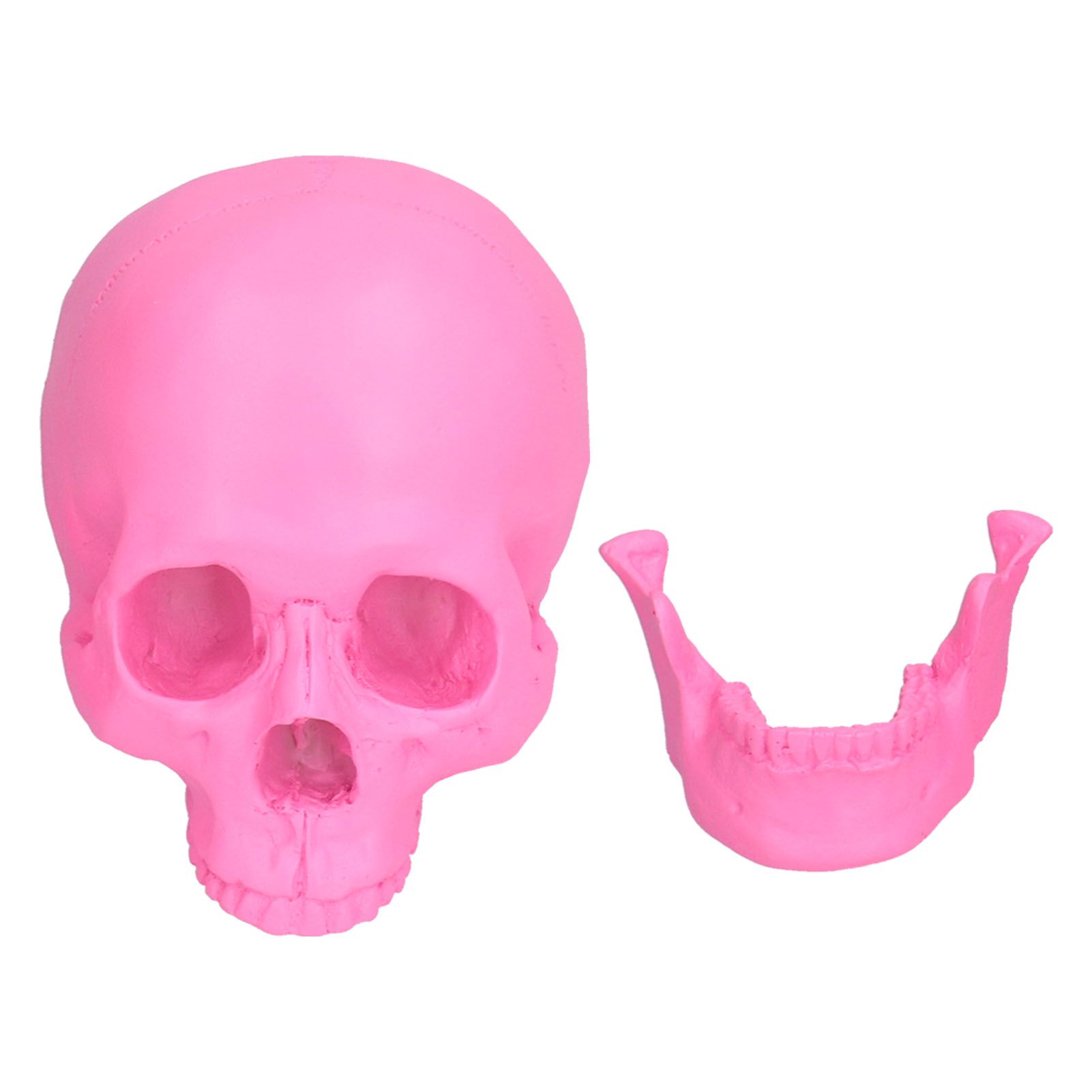 Resin Halloween Skull Decor Festival Home Props Fake Whole Person Skull view 8