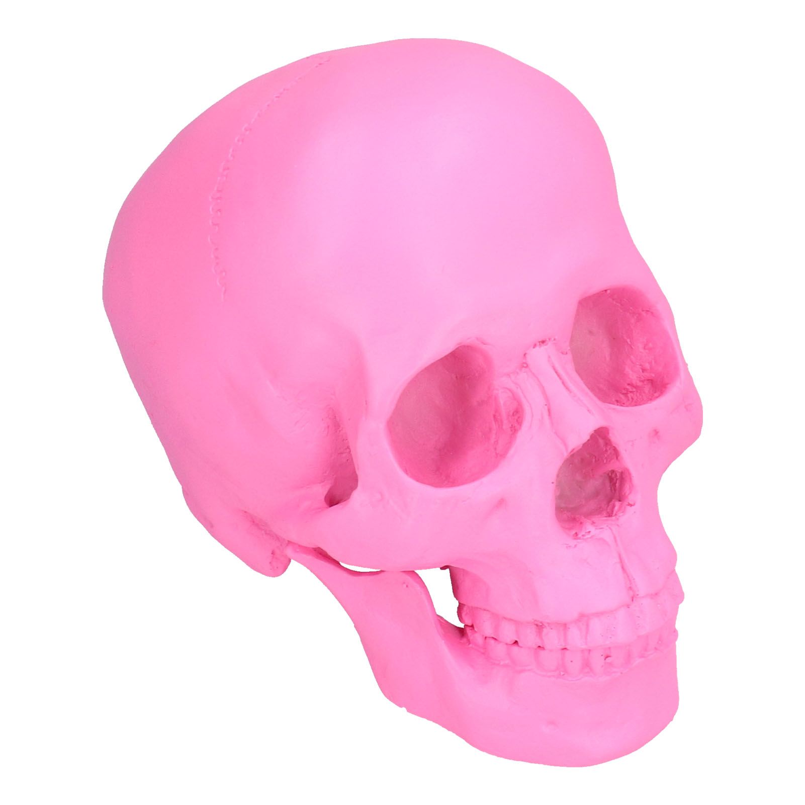 Resin Halloween Skull Decor Festival Home Props Fake Whole Person Skull view 9
