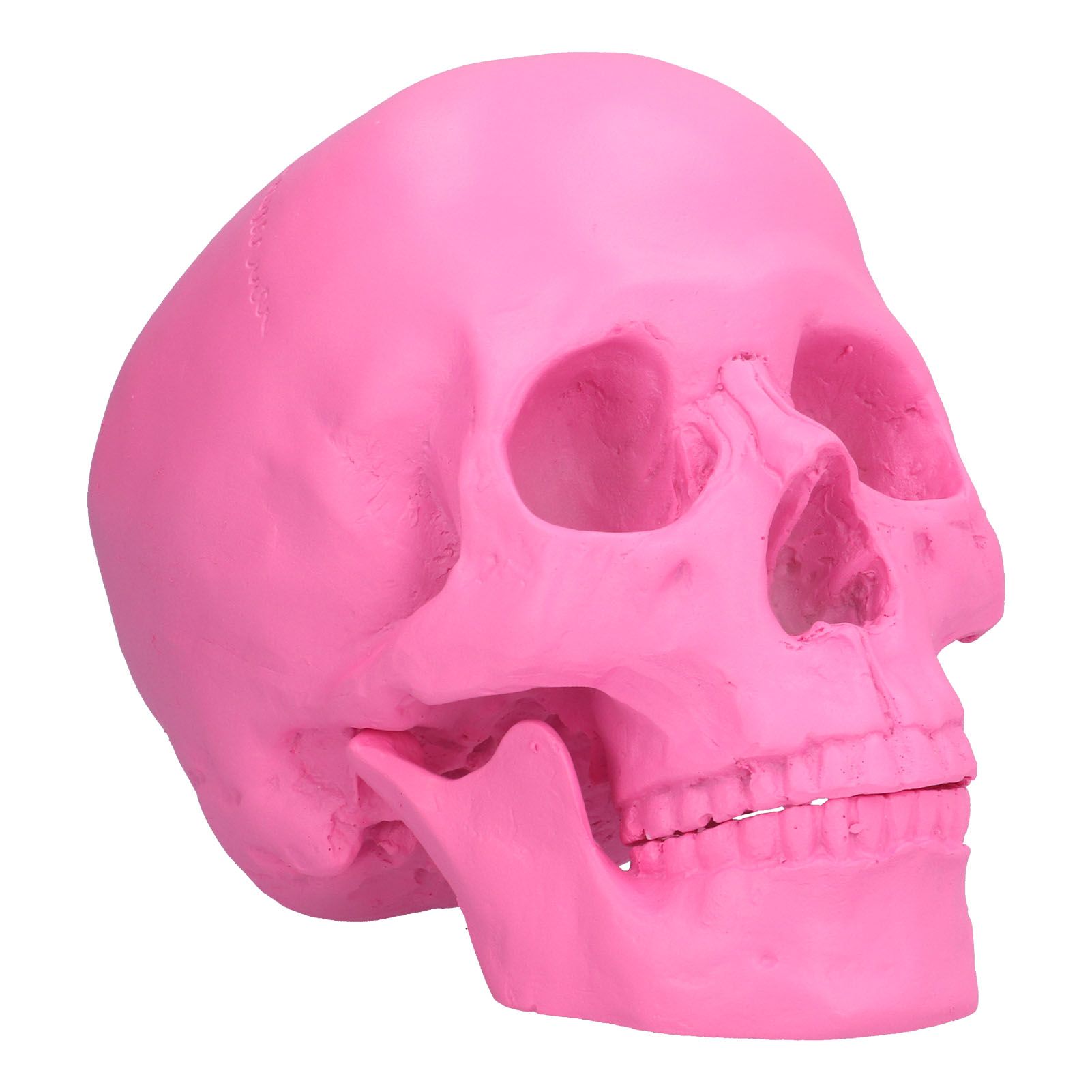 Resin Halloween Skull Decor Festival Home Props Fake Whole Person Skull view 10