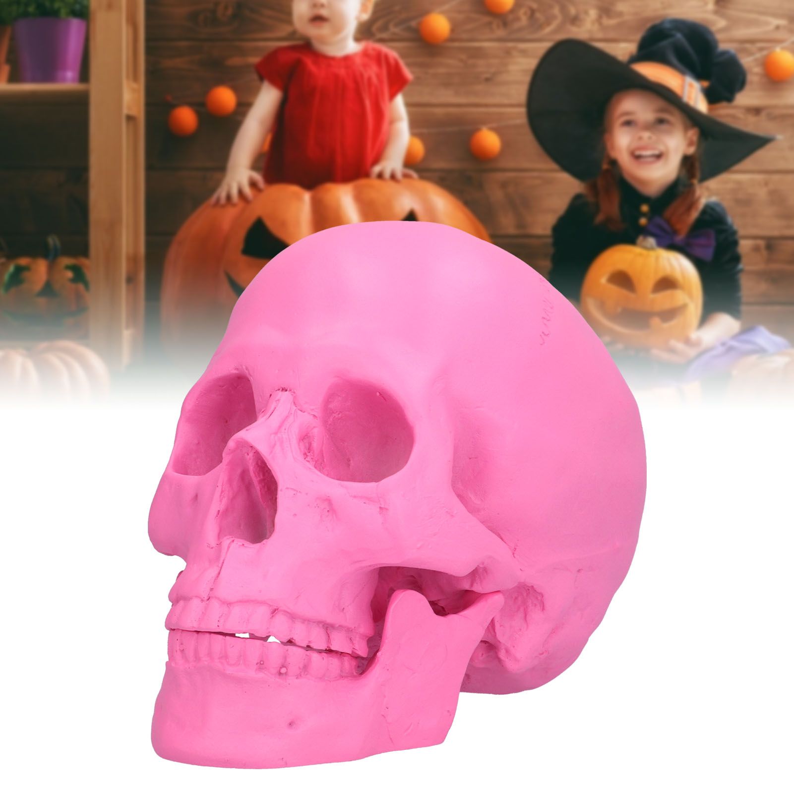 Resin Halloween Skull Decor Festival Home Props Fake Whole Person Skull view 11