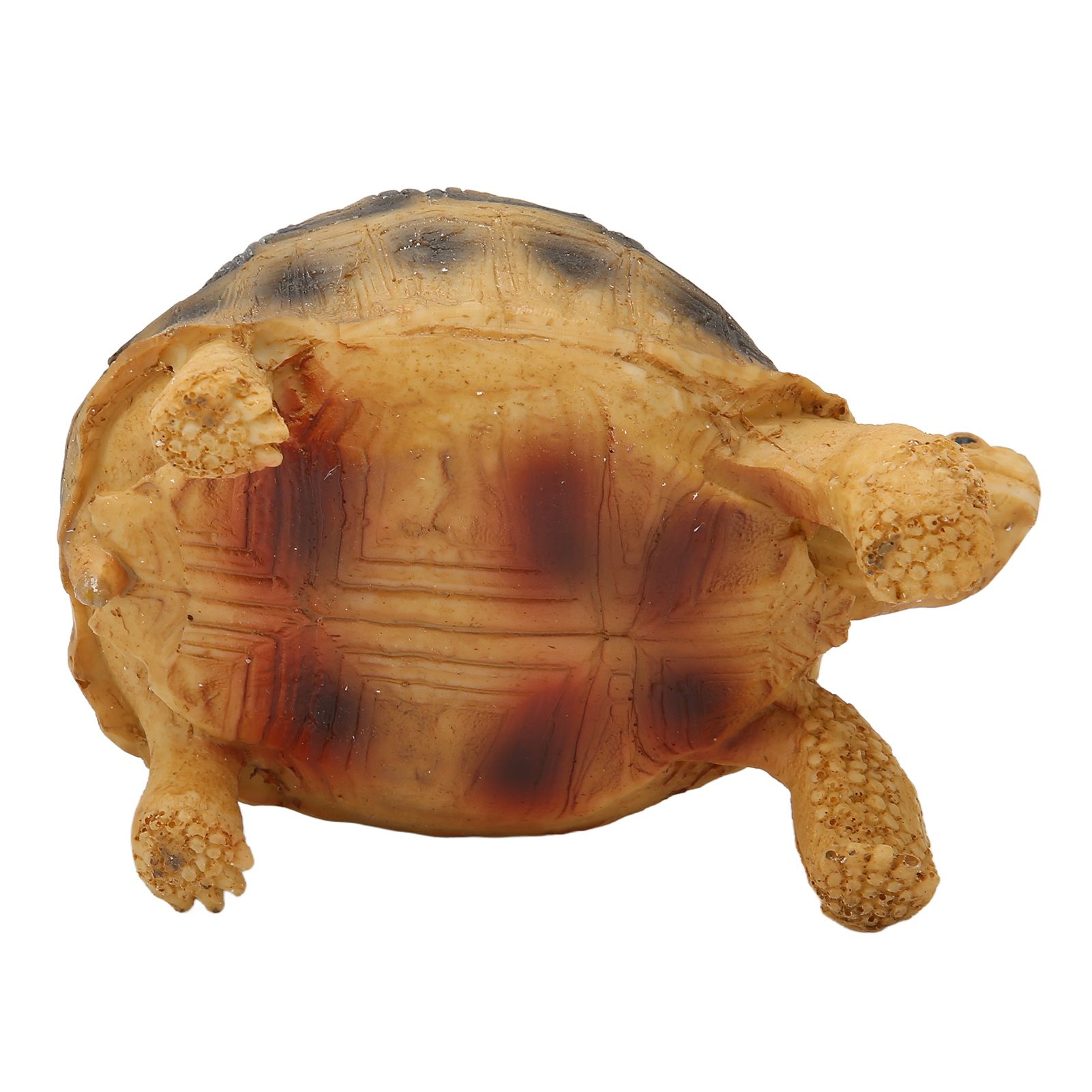 Tortoise Ornament Pet Animal Figurine Resin Home Decoration for Fish Tanl Aquarium view 3