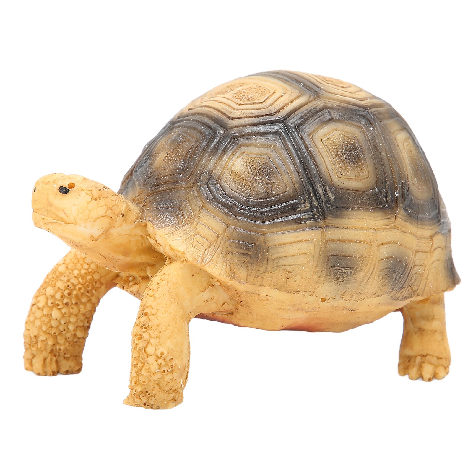 Tortoise Ornament Pet Animal Figurine Resin Home Decoration for Fish Tanl Aquarium view 7
