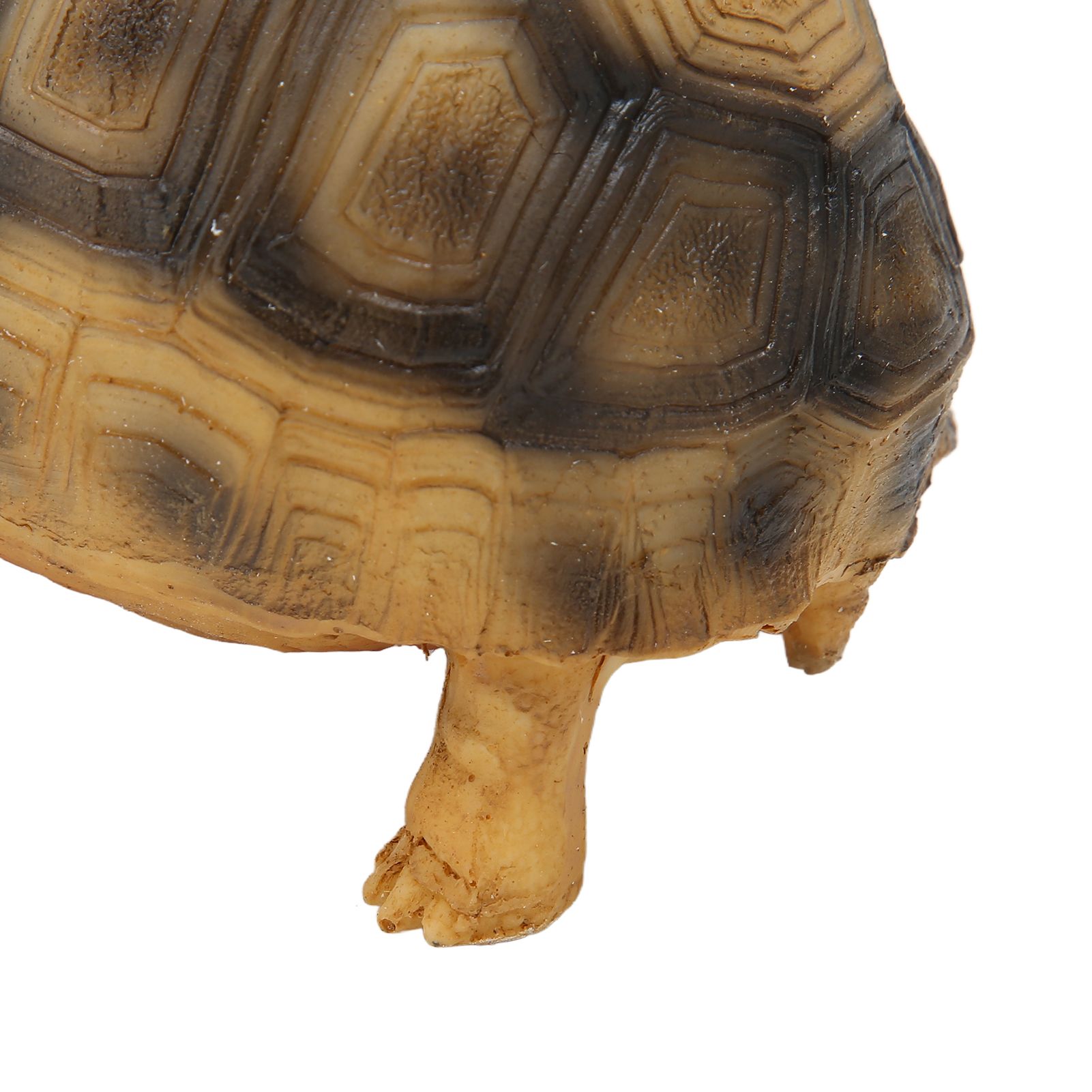 Tortoise Ornament Pet Animal Figurine Resin Home Decoration for Fish Tanl Aquarium view 13