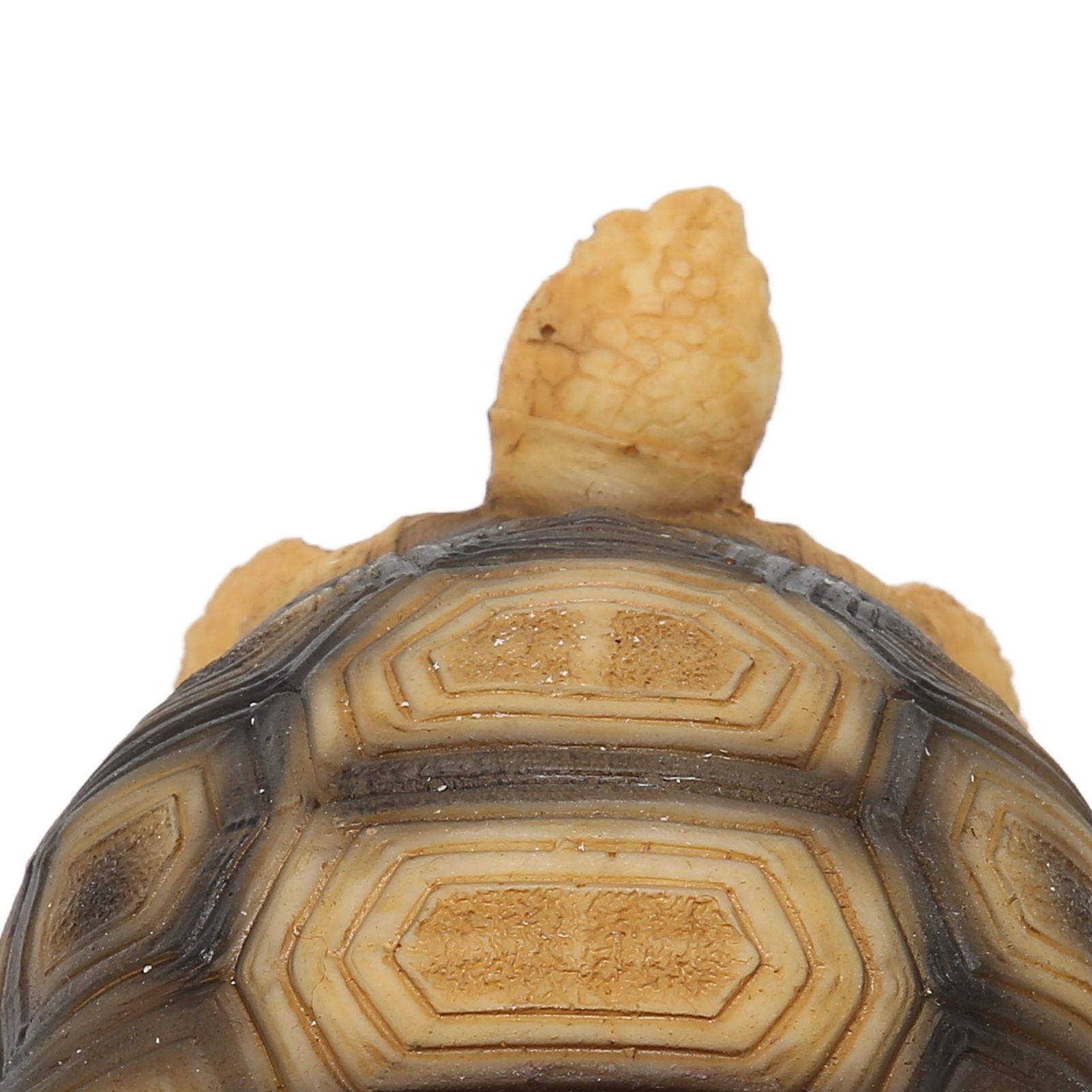Tortoise Ornament Pet Animal Figurine Resin Home Decoration for Fish Tanl Aquarium view 14
