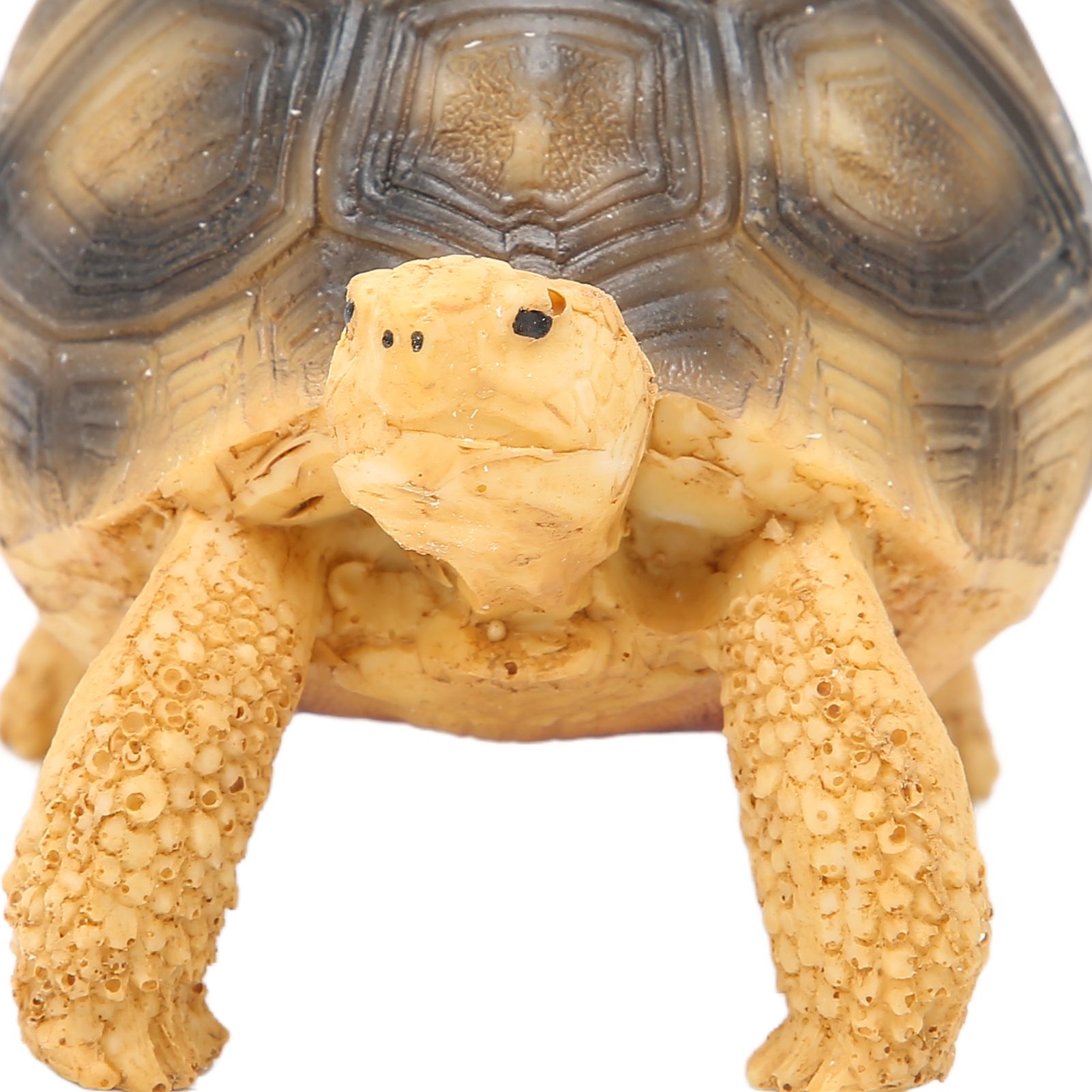 Tortoise Ornament Pet Animal Figurine Resin Home Decoration for Fish Tanl Aquarium view 15