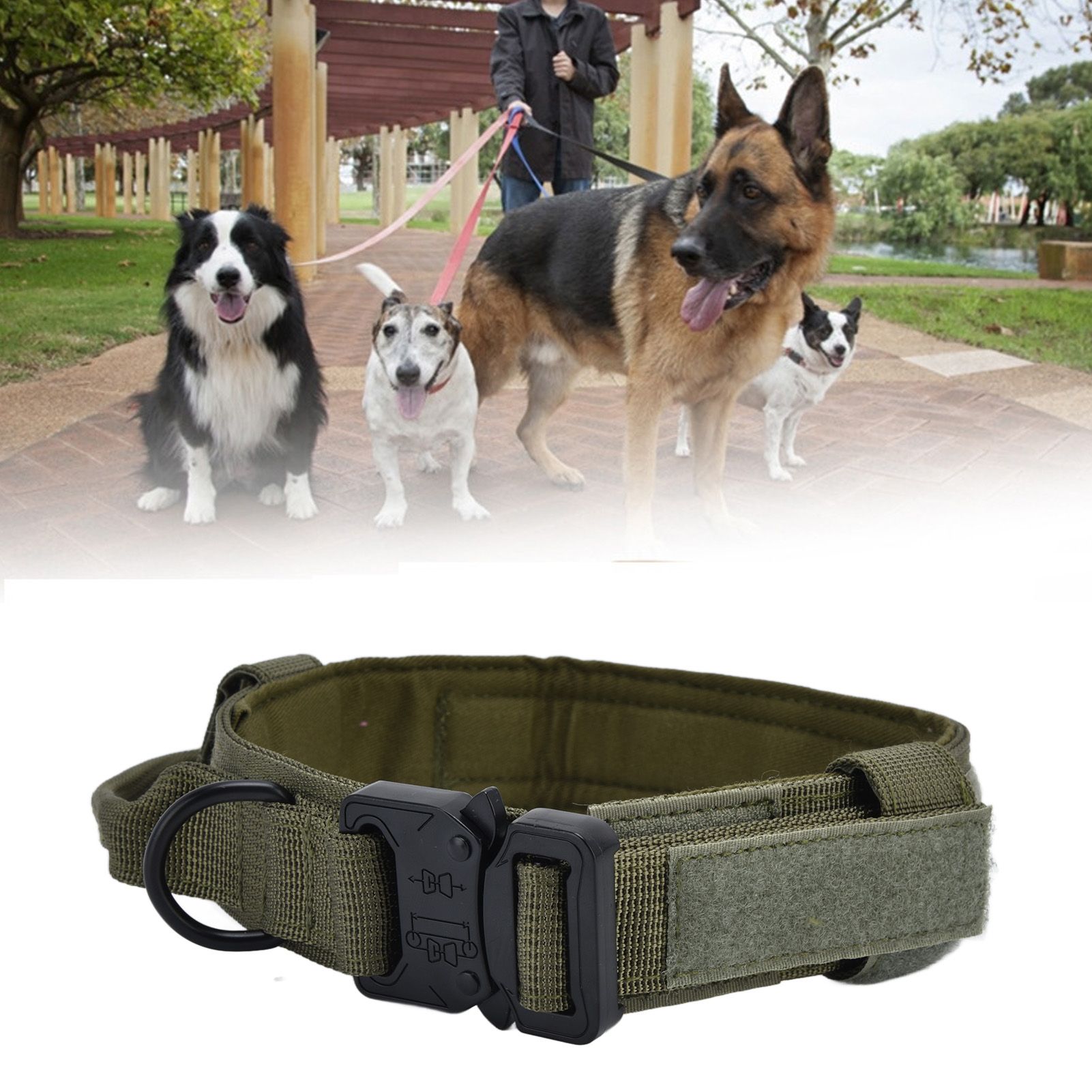 Traction Dog Collar with Buckle Nylon Iron Training Hunting Collar Pet view 11