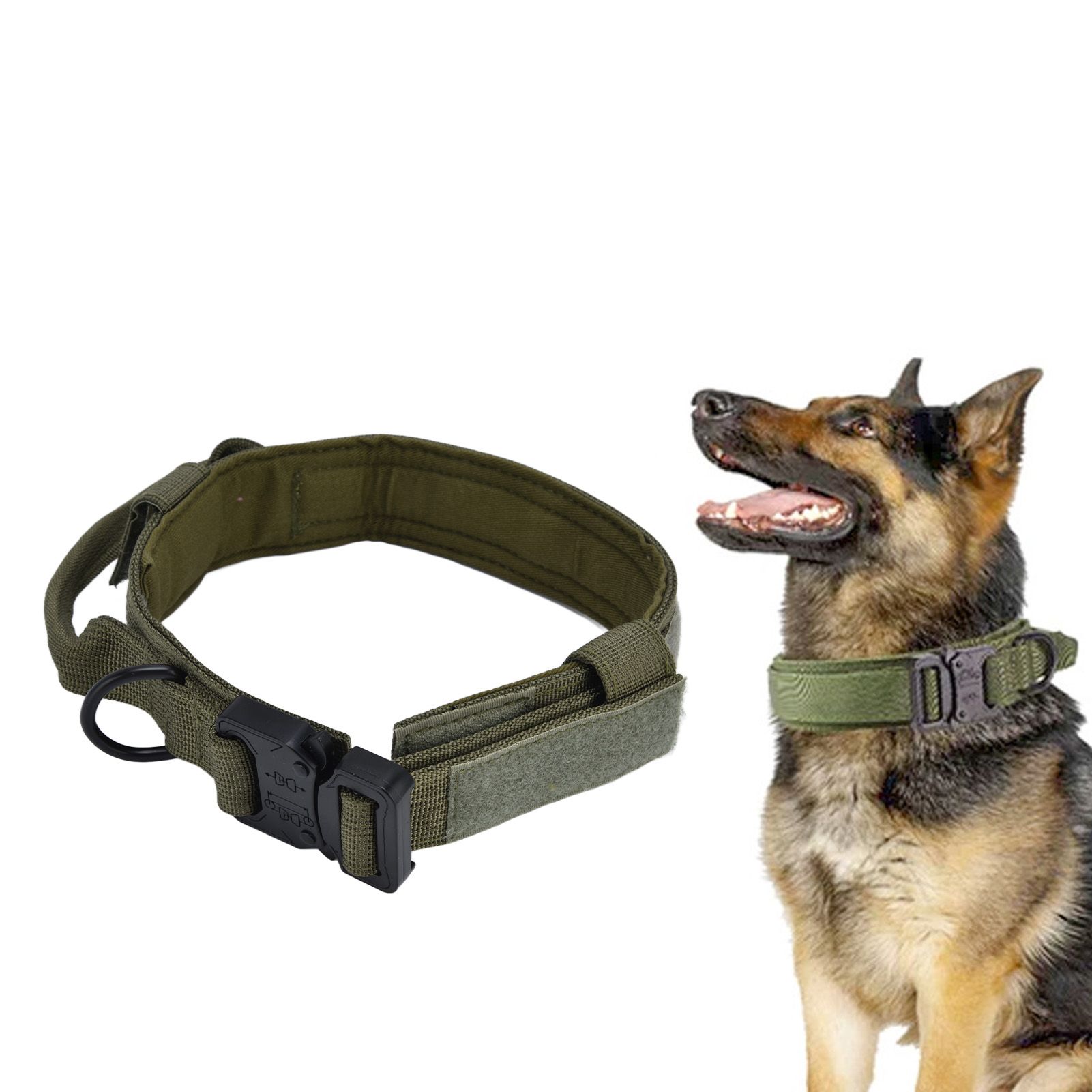 Traction Dog Collar with Buckle Nylon Iron Training Hunting Collar Pet view 12