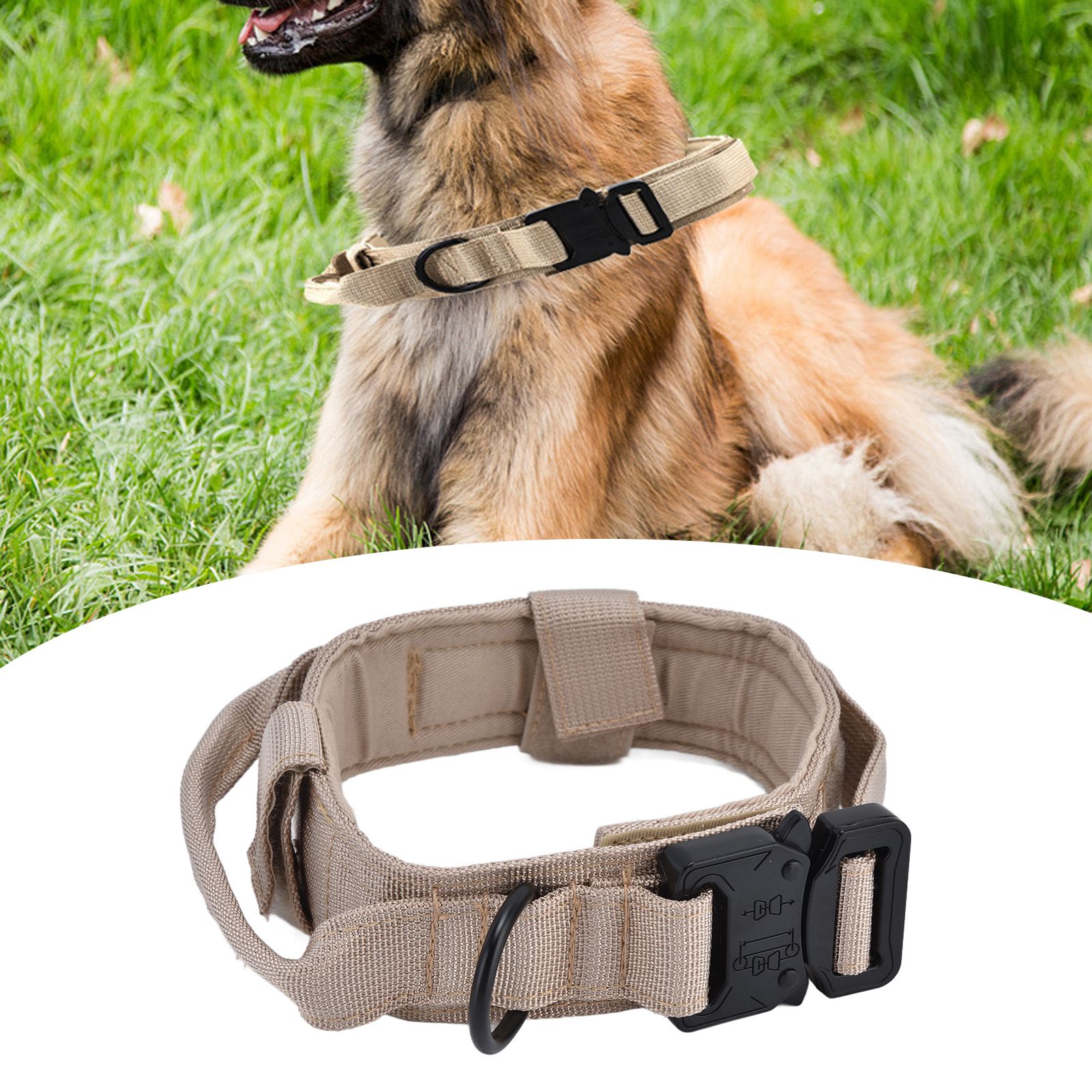 Traction Dog Collar with Buckle Nylon Iron Training Hunting Collar Pet view 12