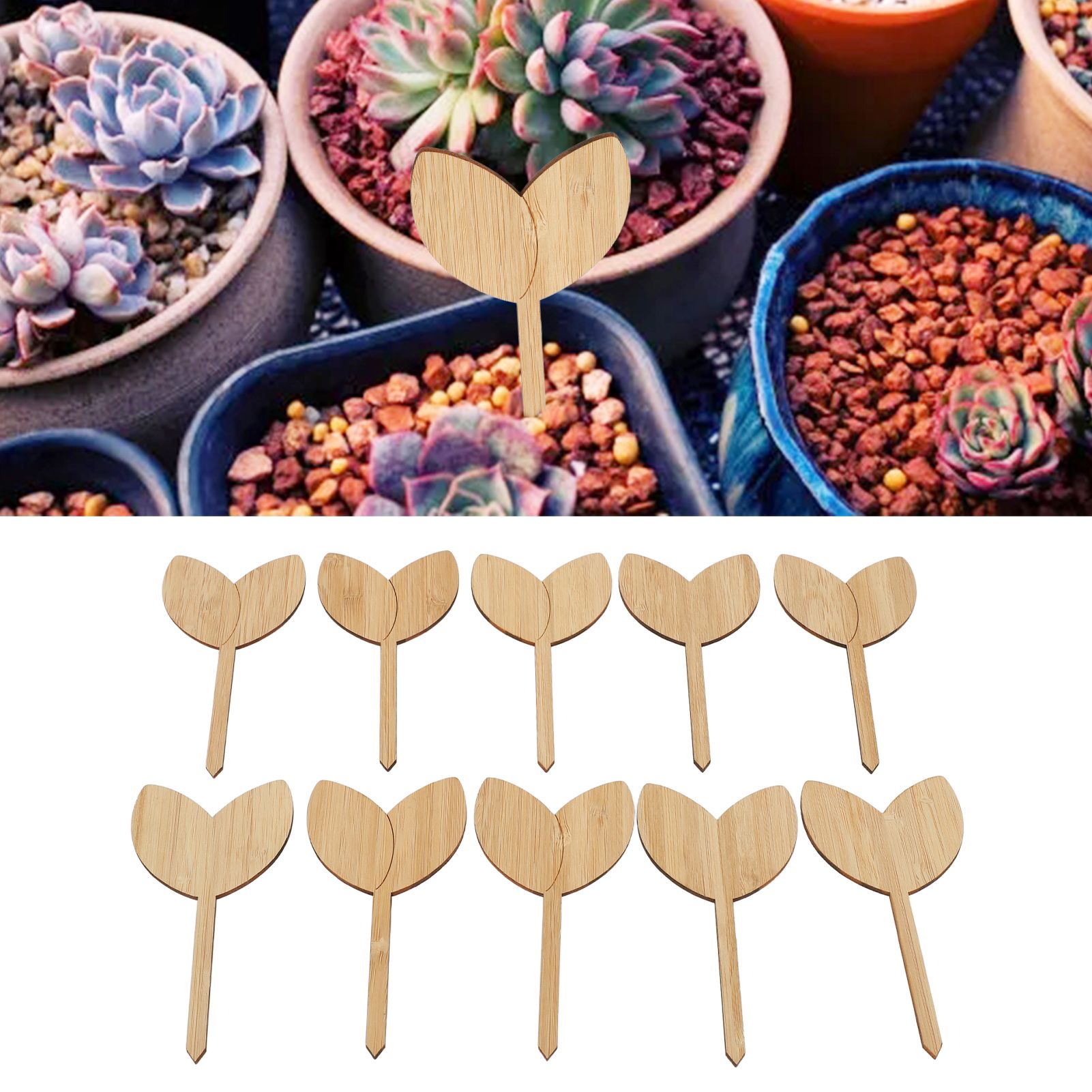 10pcs Plant Labels Bamboo Material Easy Writing 1/8 in Thickness Decorative view 12