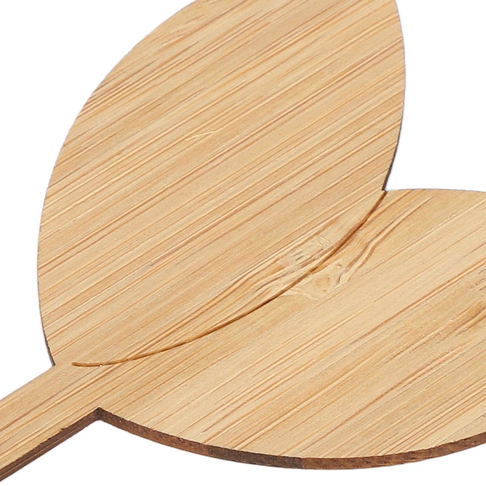 10pcs Plant Labels Bamboo Material Easy Writing 1/8 in Thickness Decorative view 13