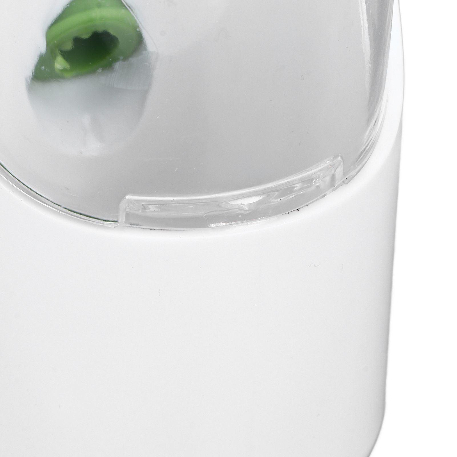 Herb Keeper Herb Storage Container Savor Preserver for Cilantro Mint Parsley view 14